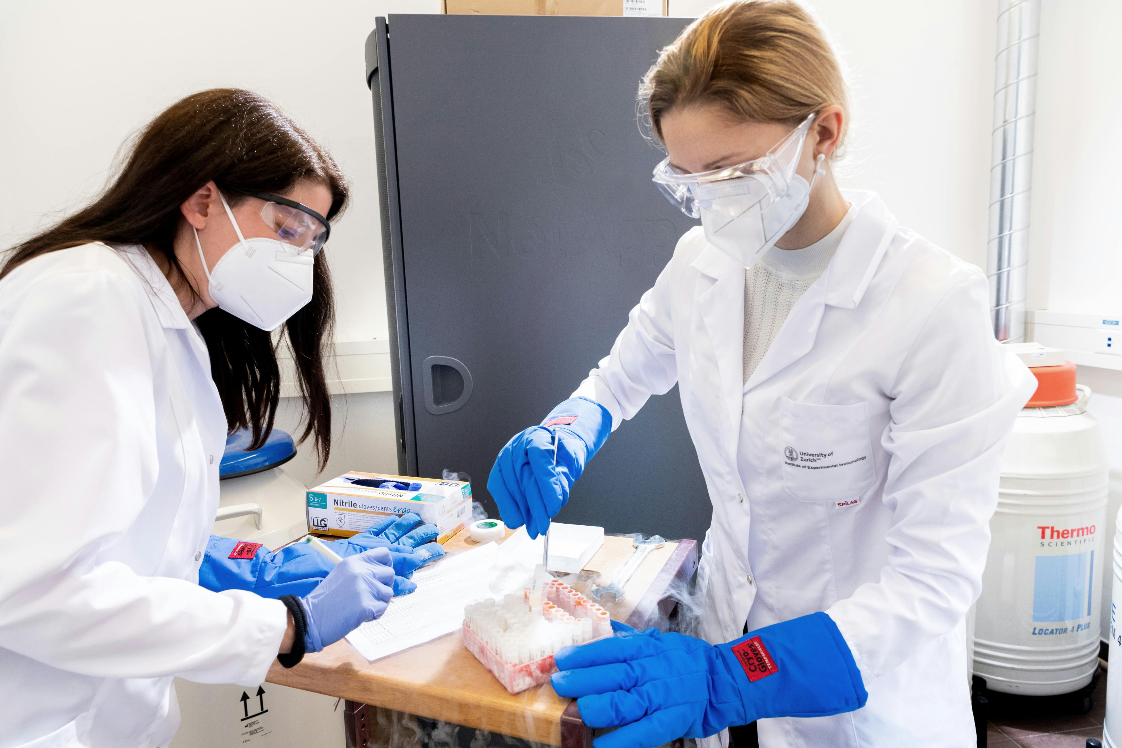 Checking the blood samples