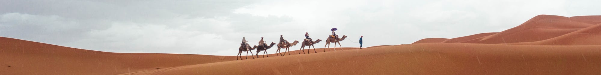 Vuelta al Mundo Regent Seven Seas