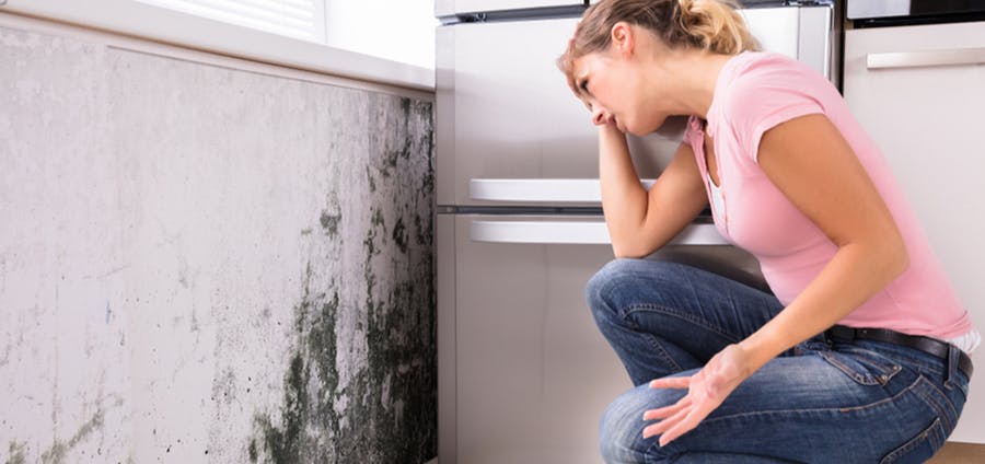 La garantie des vices cachés en immo Les vices cachés en immobilier, quelles sont les garanties ?