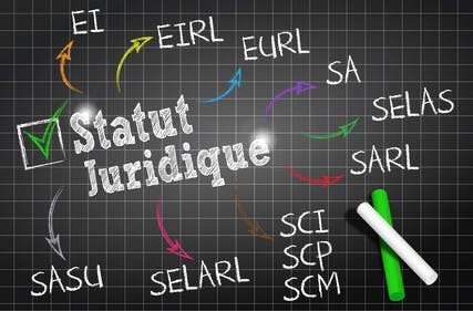 Le bon montage juridique pour une société Quel est le bon montage juridique pour sa société ?