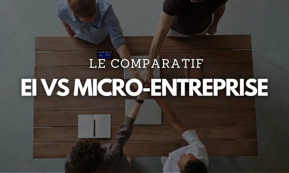 Différences entre EI et micro-entreprise Choisir entre EI et micro-entreprise
