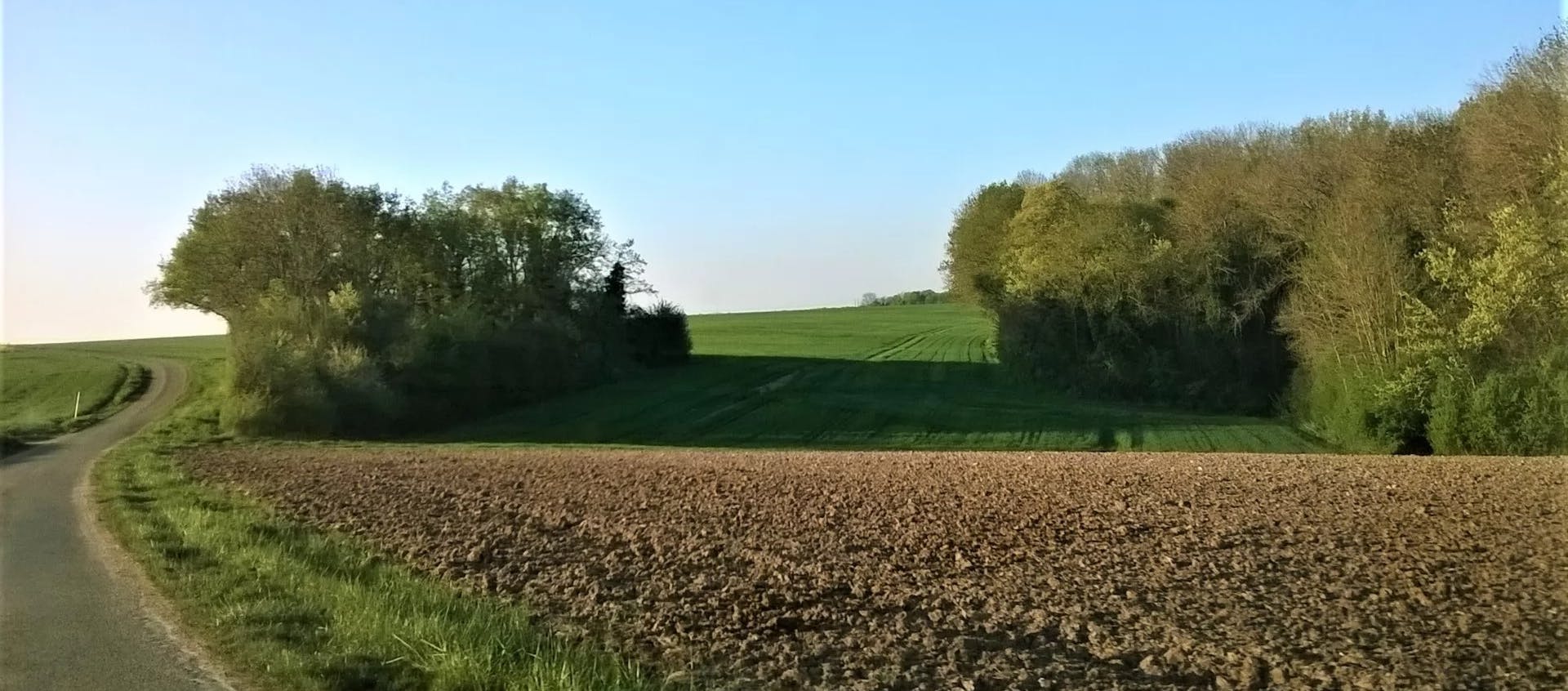 Procédure du droit de préemption sur le bail rural 