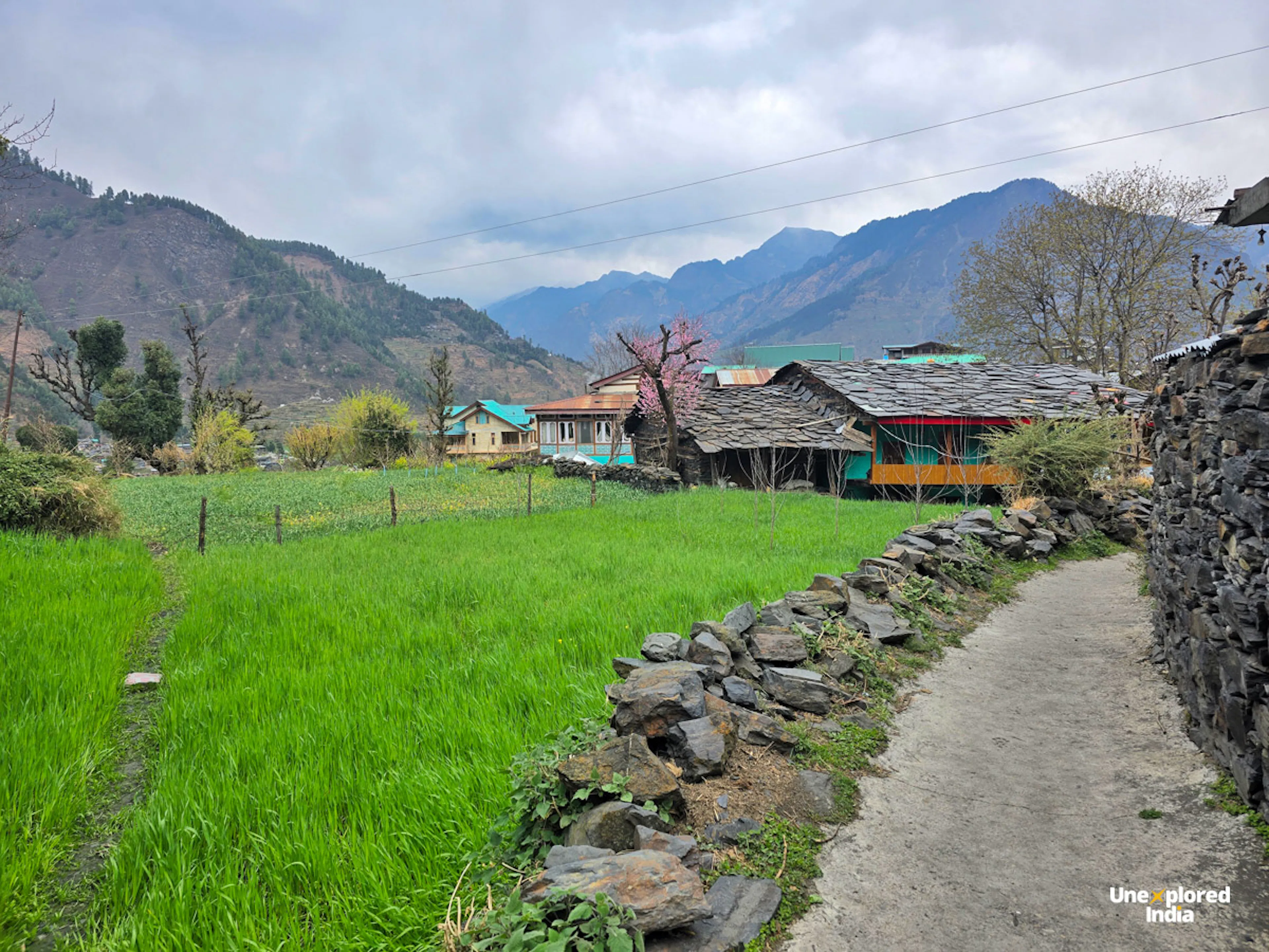 bhalyani village farmlands offbeat kullu manali