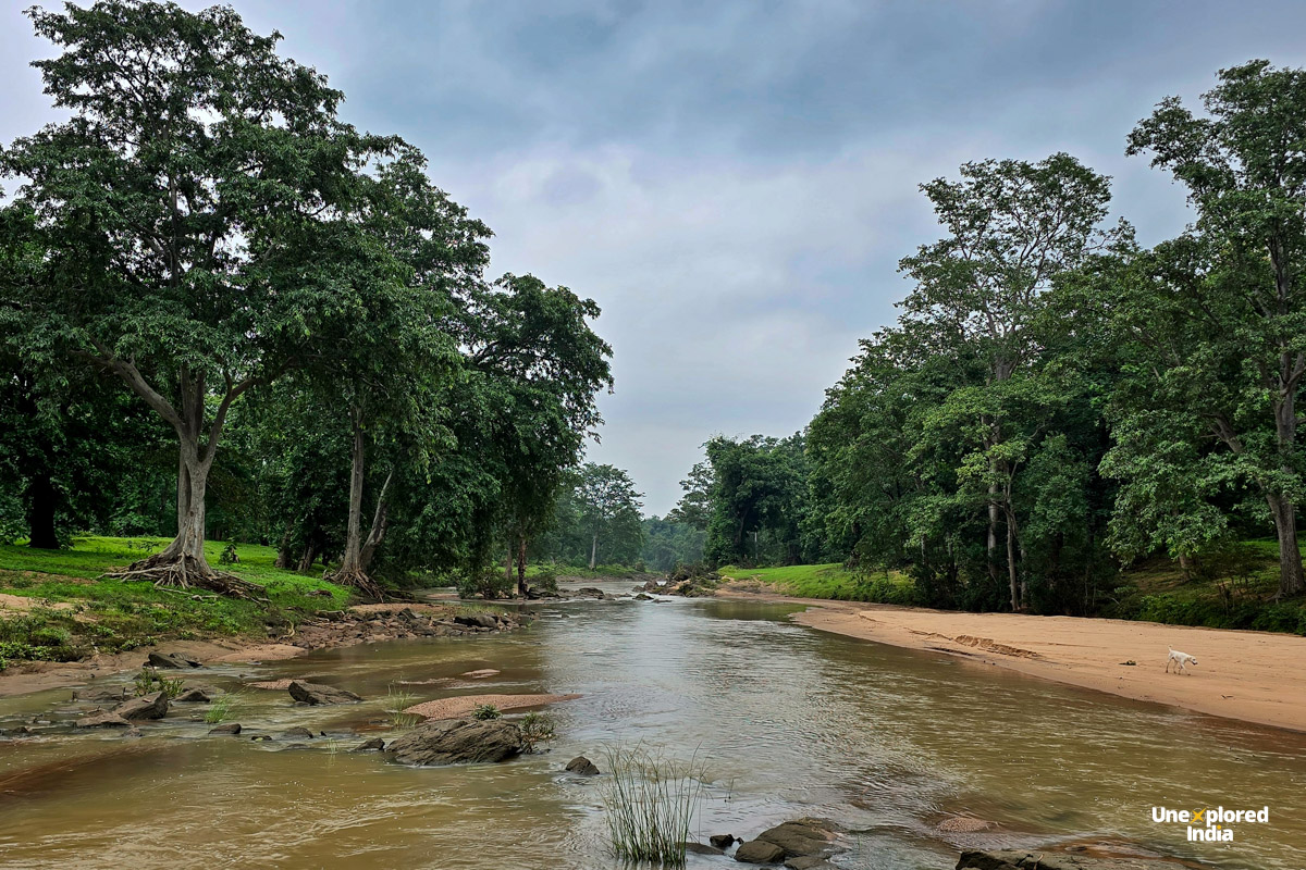 Susa Nala river near Chimtipur surrounded by forests in the Satpura region of Madhya Pradesh