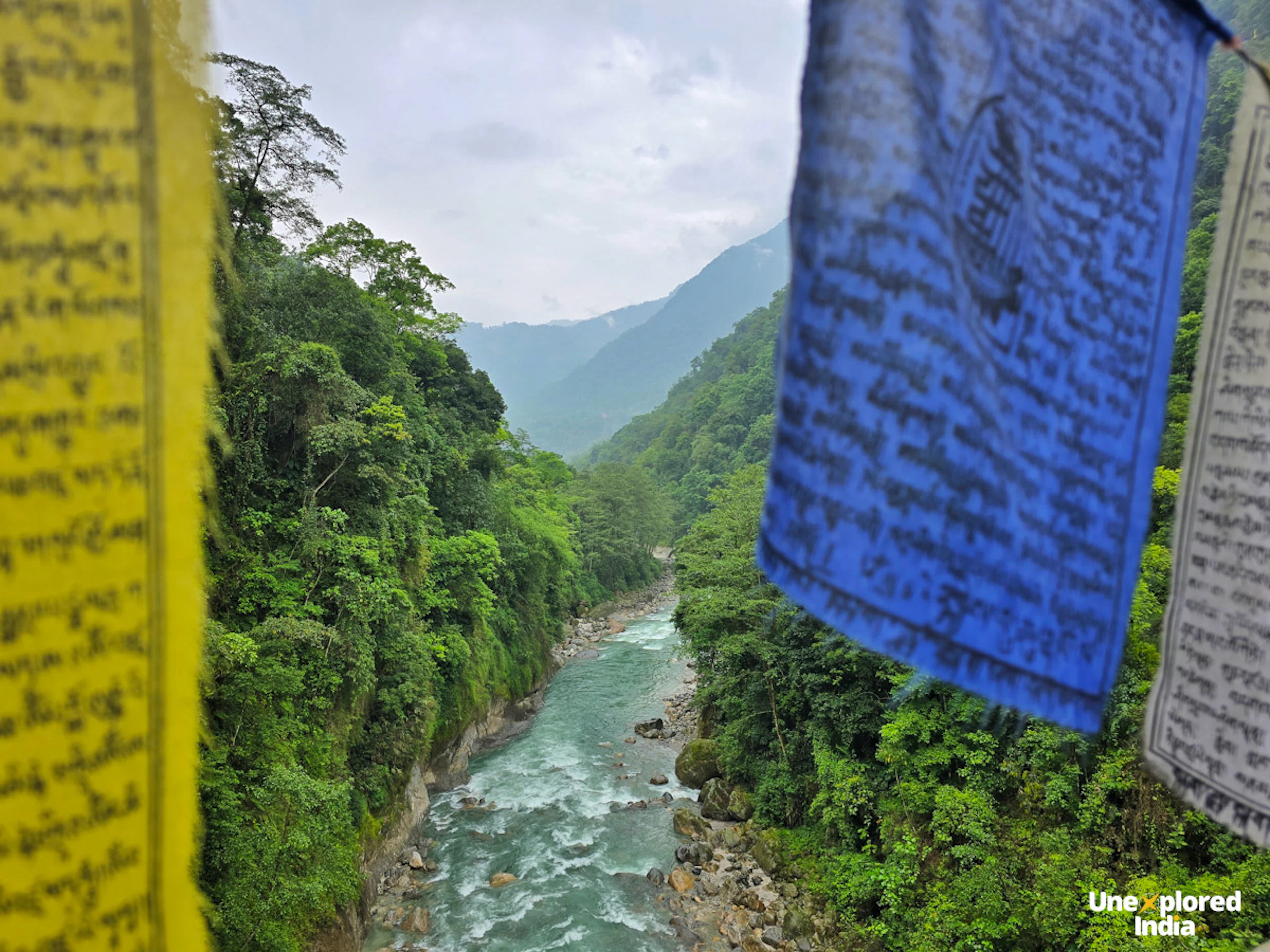 Gangtok city view from Fambong Lho Wildlife Sanctuary