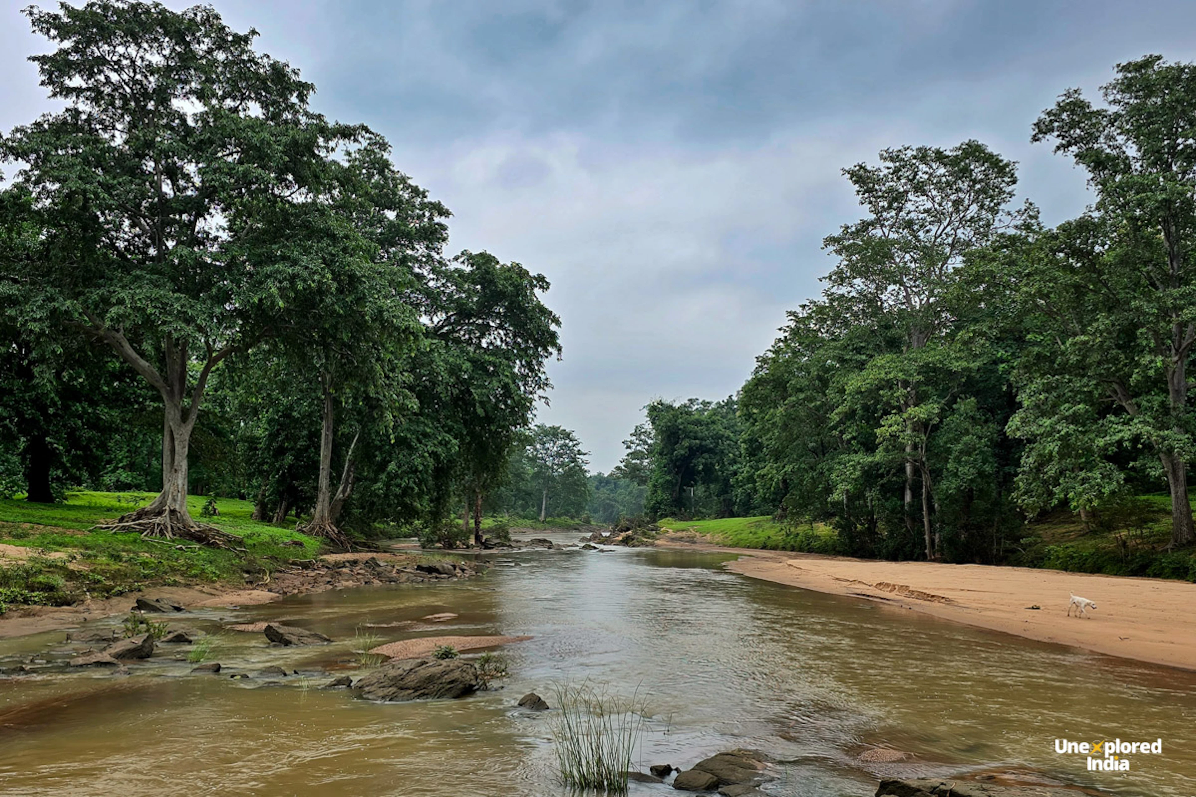 Sandy riverbed of Susa Nala surrounded by forests in the Satpura region of Madhya Pradesh