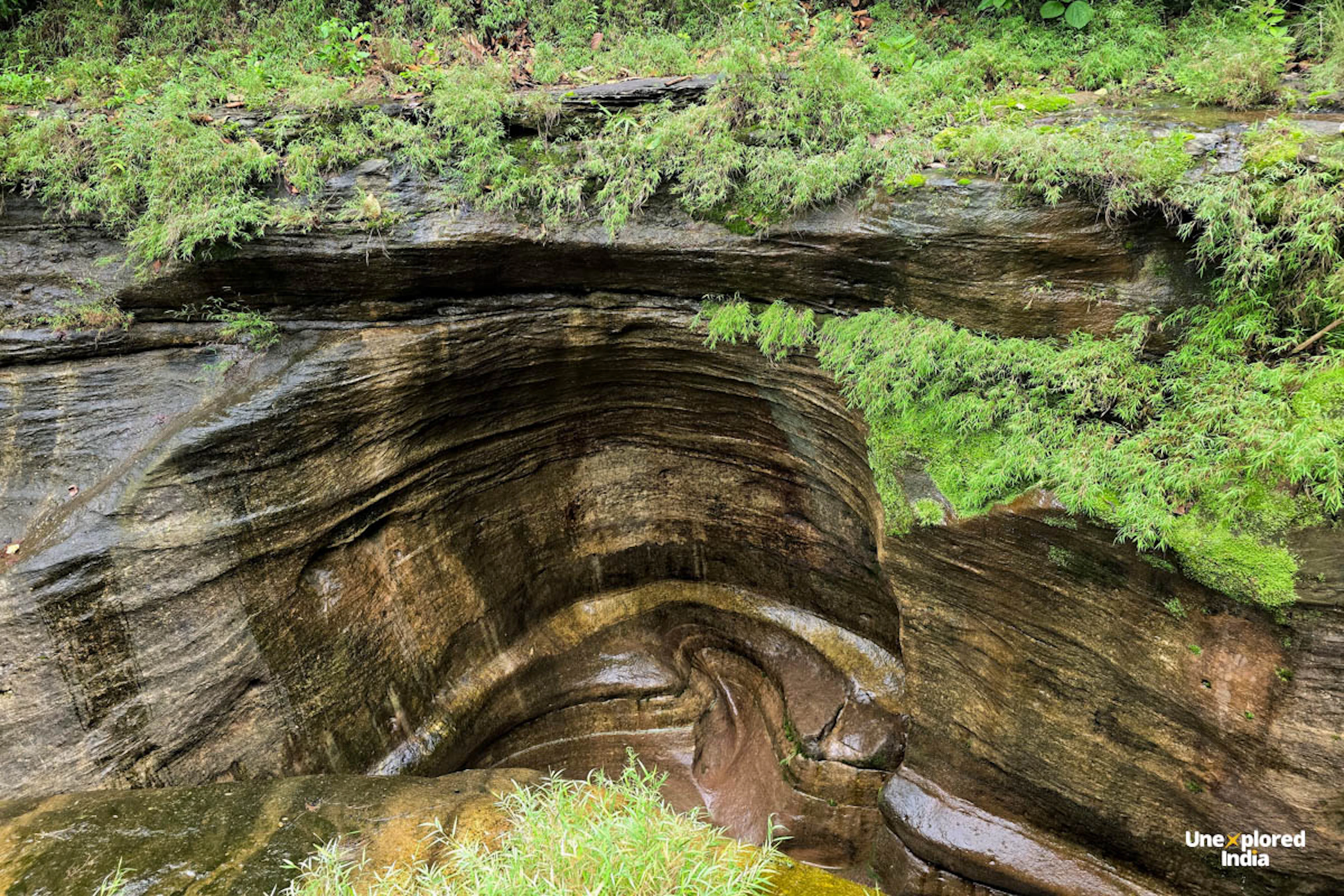 Layers of dark rock carved by water into a deep, curving hollow inside Patalkot Gorge, with green grass and ferns growing along the edges.
