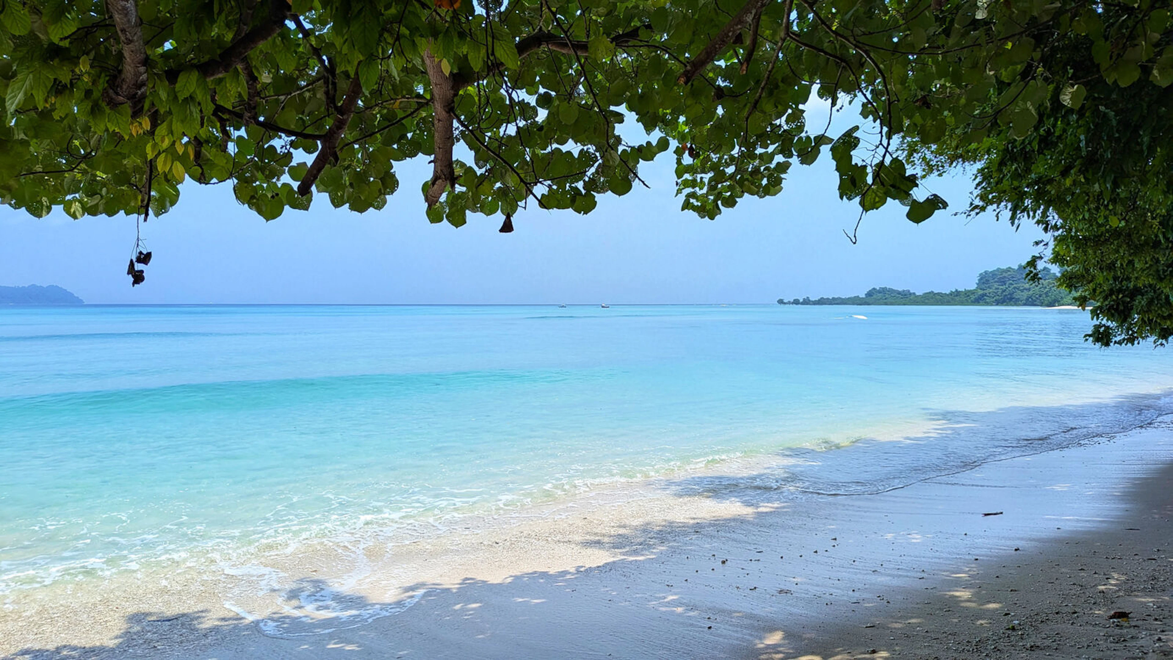 Serene beach turqoiese blue waters of andaman flanked by dense forests neil island