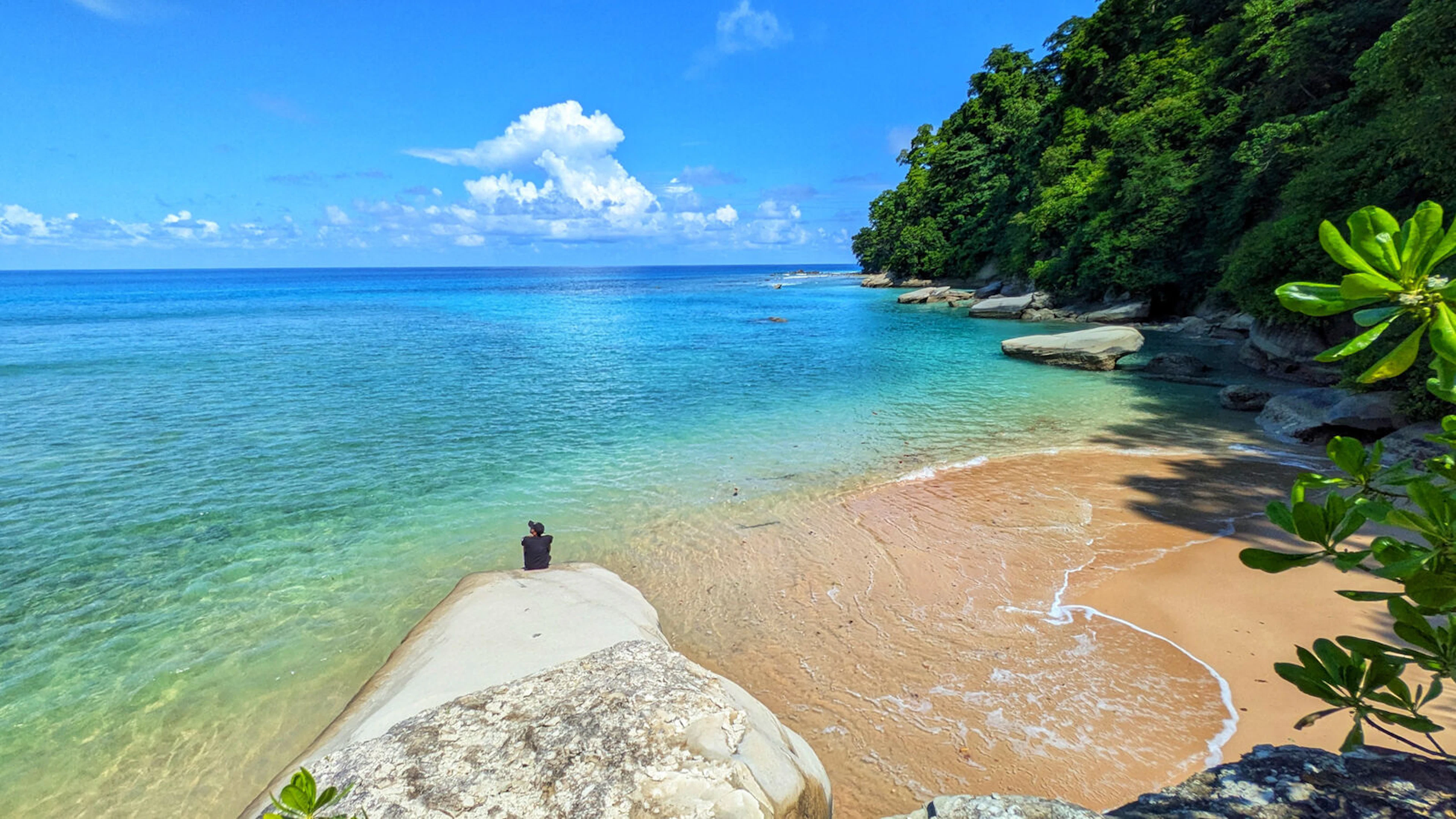 Serene beach turqoiese blue waters of andaman flanked by dense forests neil island