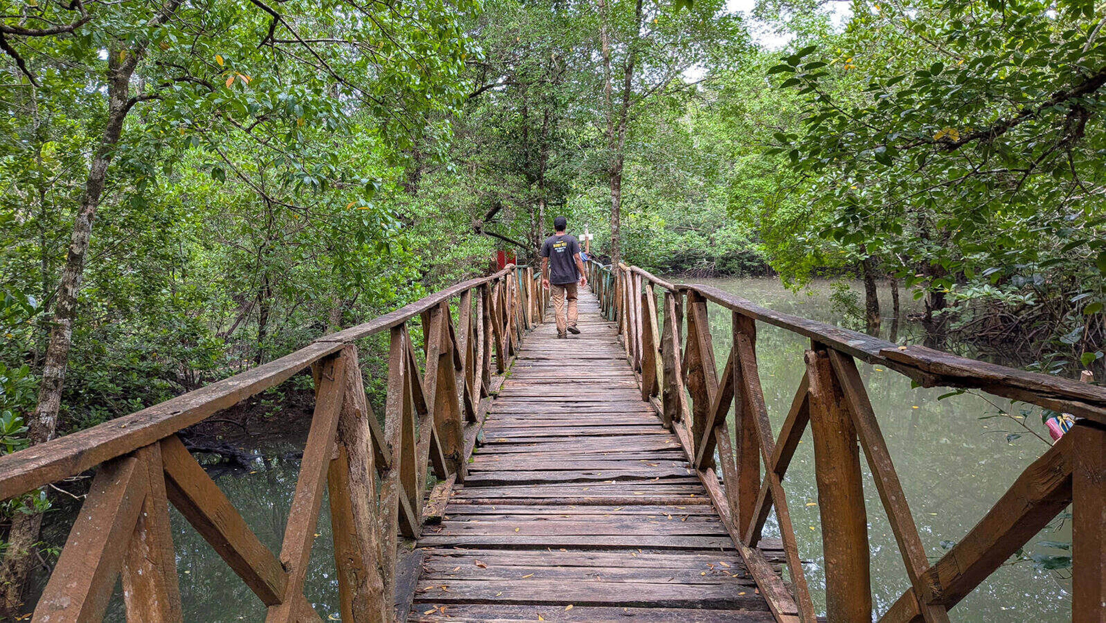 mangrove bridge leading to baratang caves andaman trip