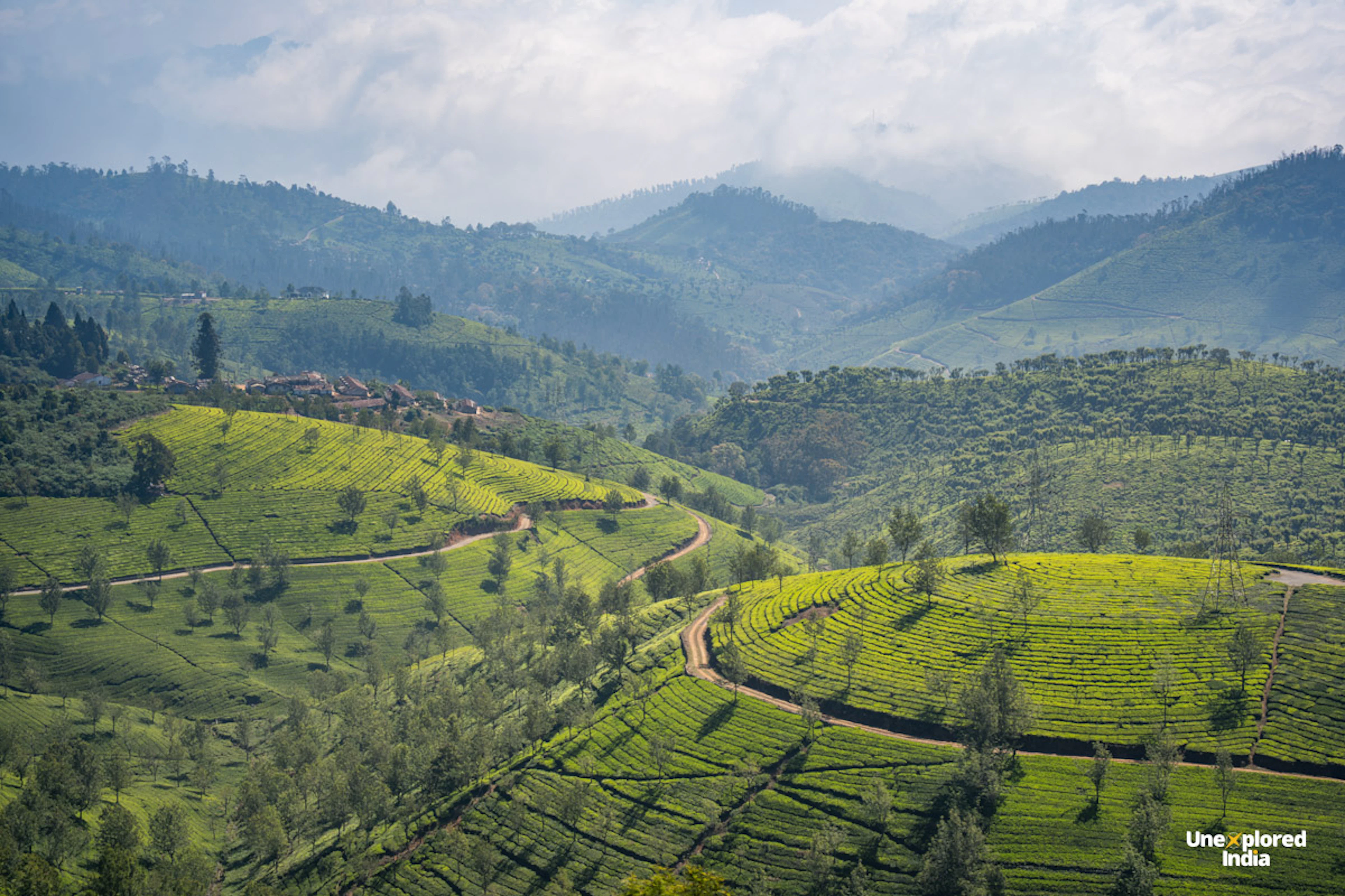 Aerial view of lush tea plantations covering the rolling hills and valleys of the Nilgiris, with winding roads and misty mountains.
