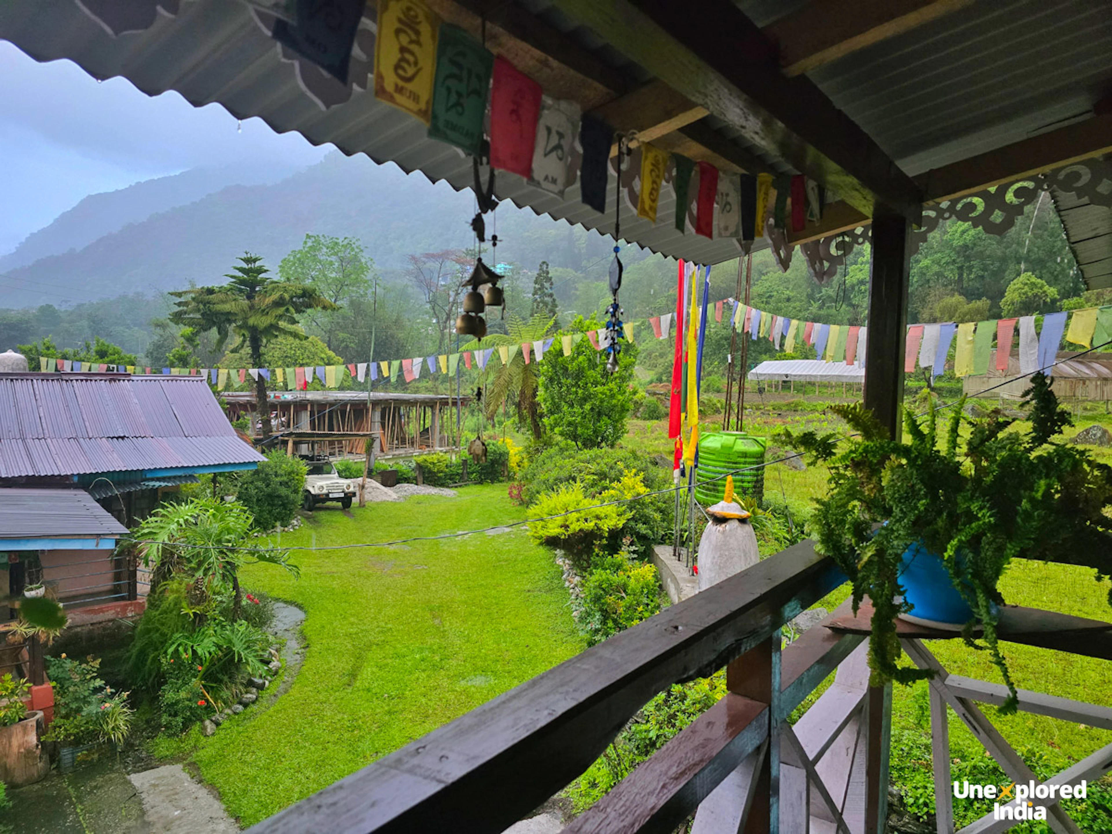 Pine trees inside Fambong Lho Sanctuary offbeat Sikkim