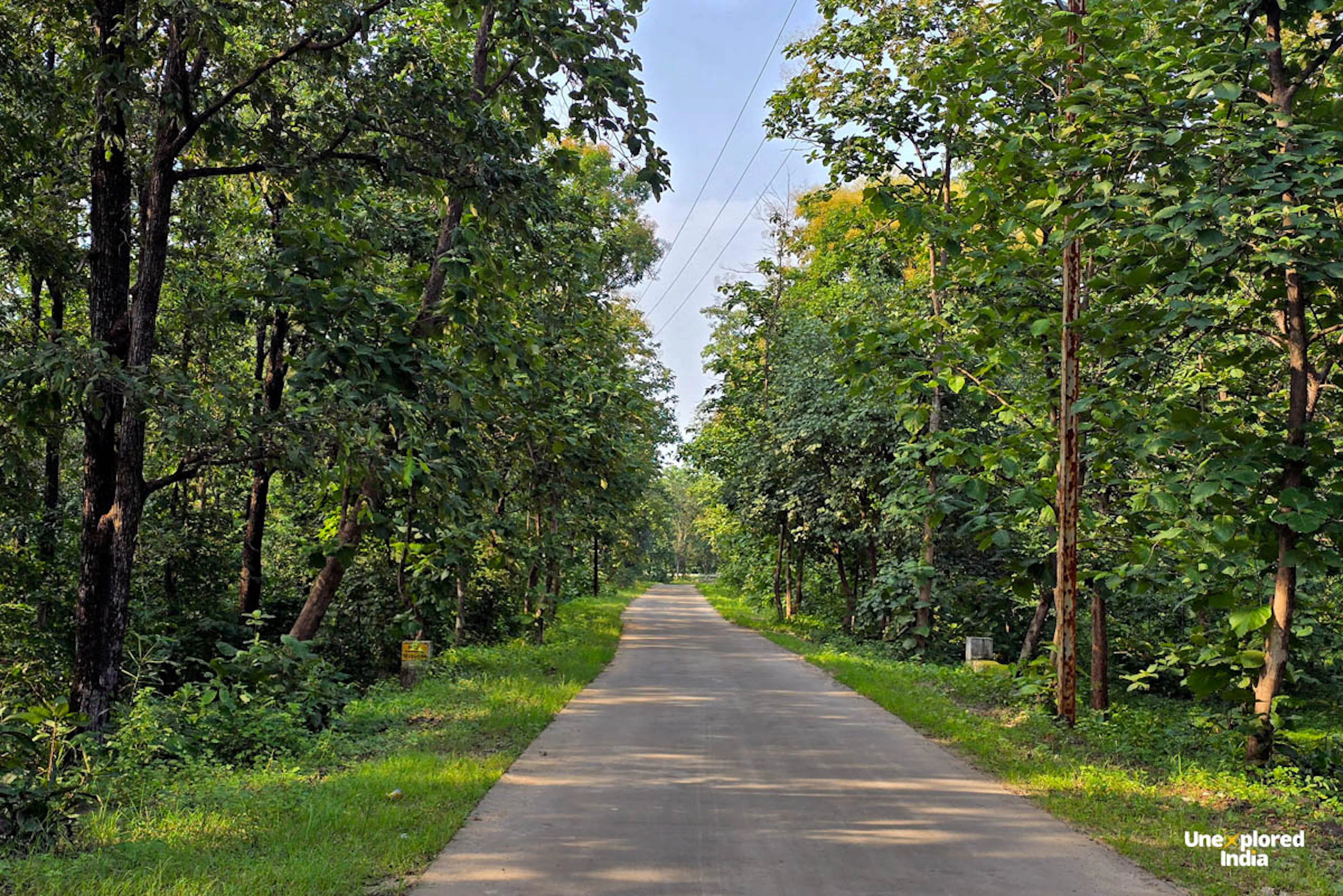Drive through Satpura Tiger Reserve buffer zone surrounded by teak forests and wilderness in Madhya Pradesh