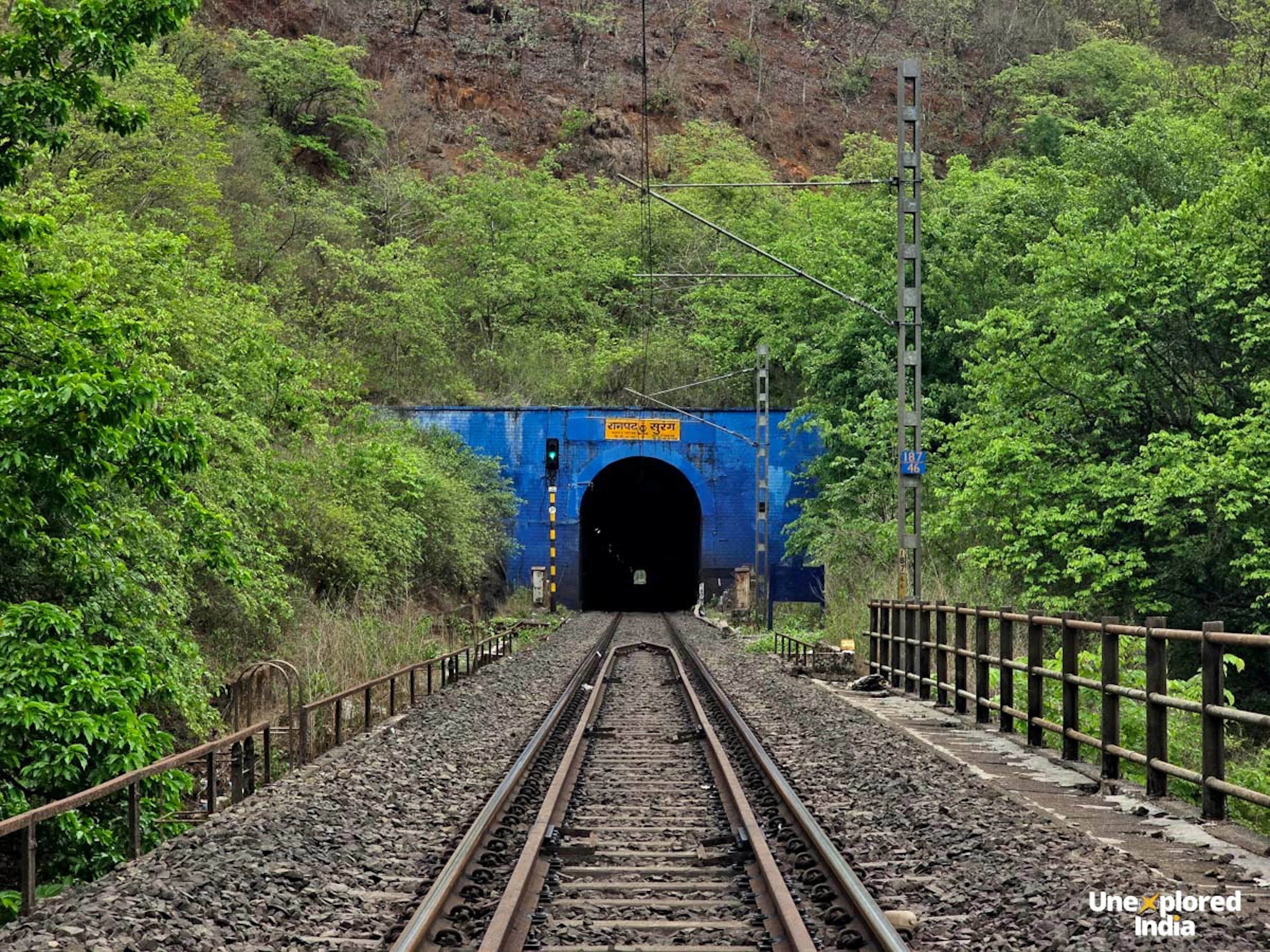 Railway tracks pass through lush greenery toward a tunnel on the Konkan railway route in Maharashtra.