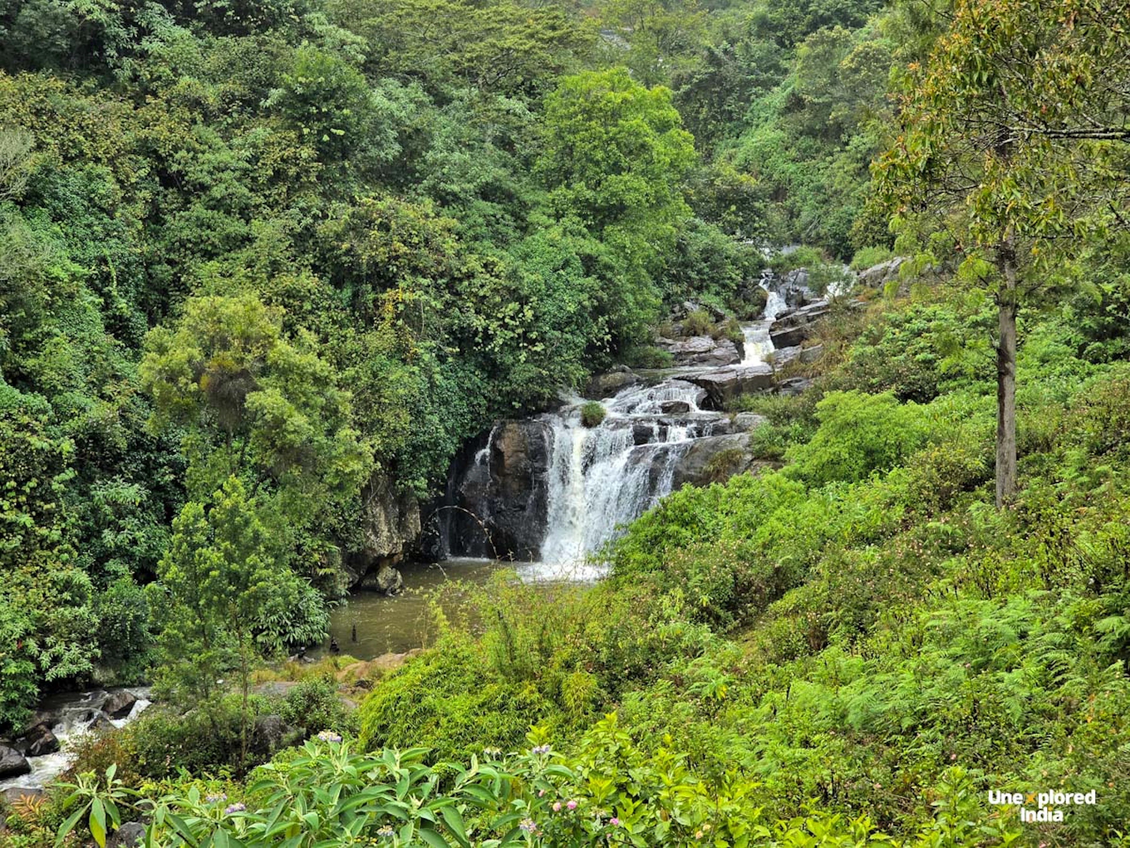 Kundha Waterfall cascades through dense greenery in the Nilgiris, surrounded by rocks, ferns and forest.