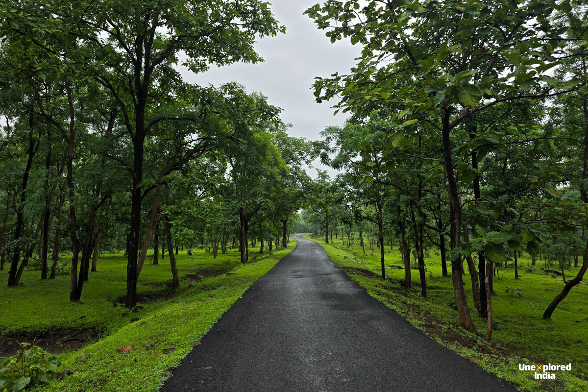Forest drive through the buffer zone of Satpura Tiger Reserve in Madhya Pradesh