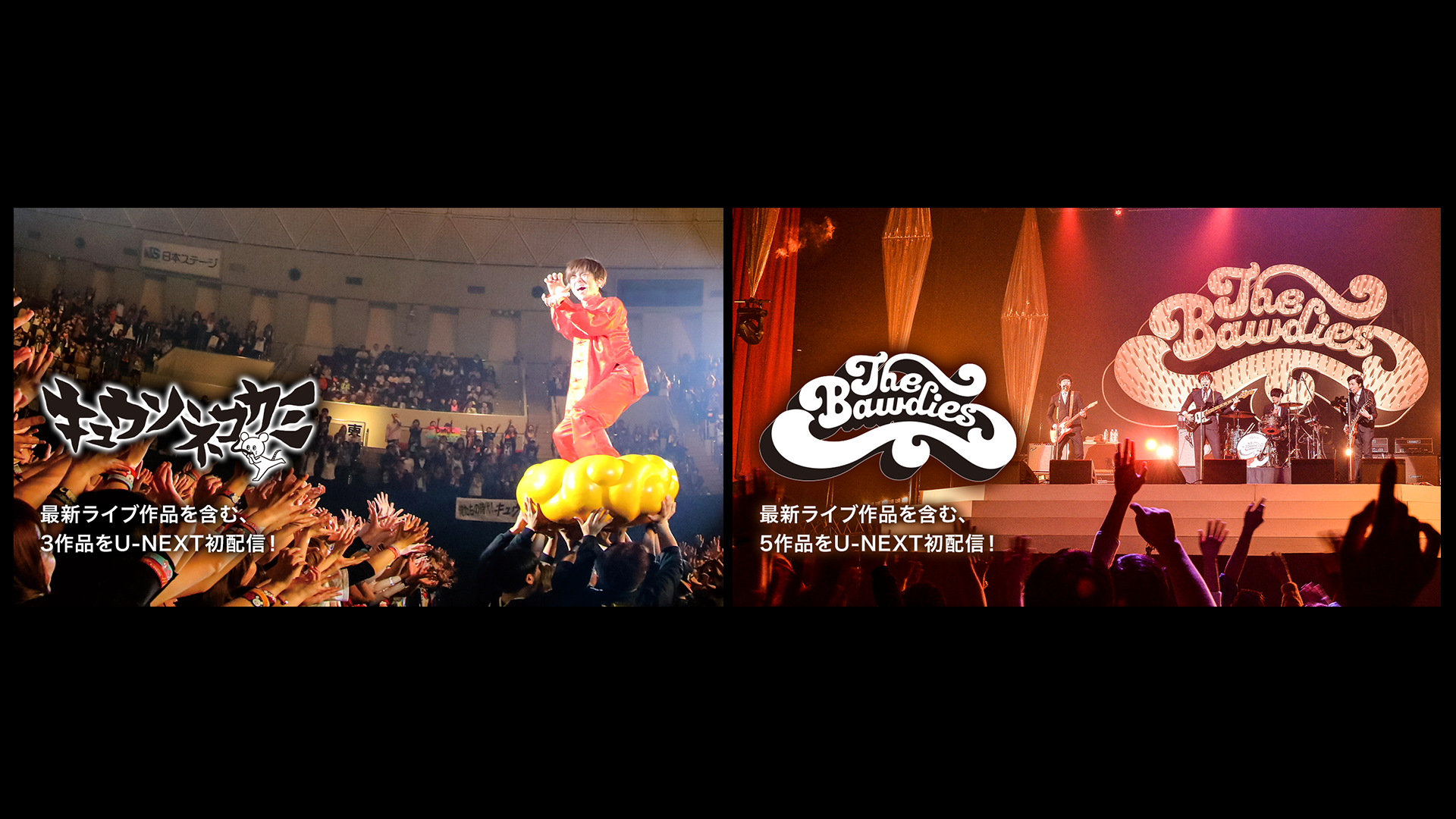 キュウソネコカミ The Bawdiesなど邦楽ロックバンドライブほか14作品をu Nextが一挙配信 U Next Corporate