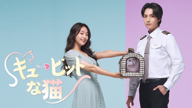 チェ・テジュン&ソン・ジウンが共演!韓国ドラマ『キューピットな猫』をU-NEXT独占で配信開始