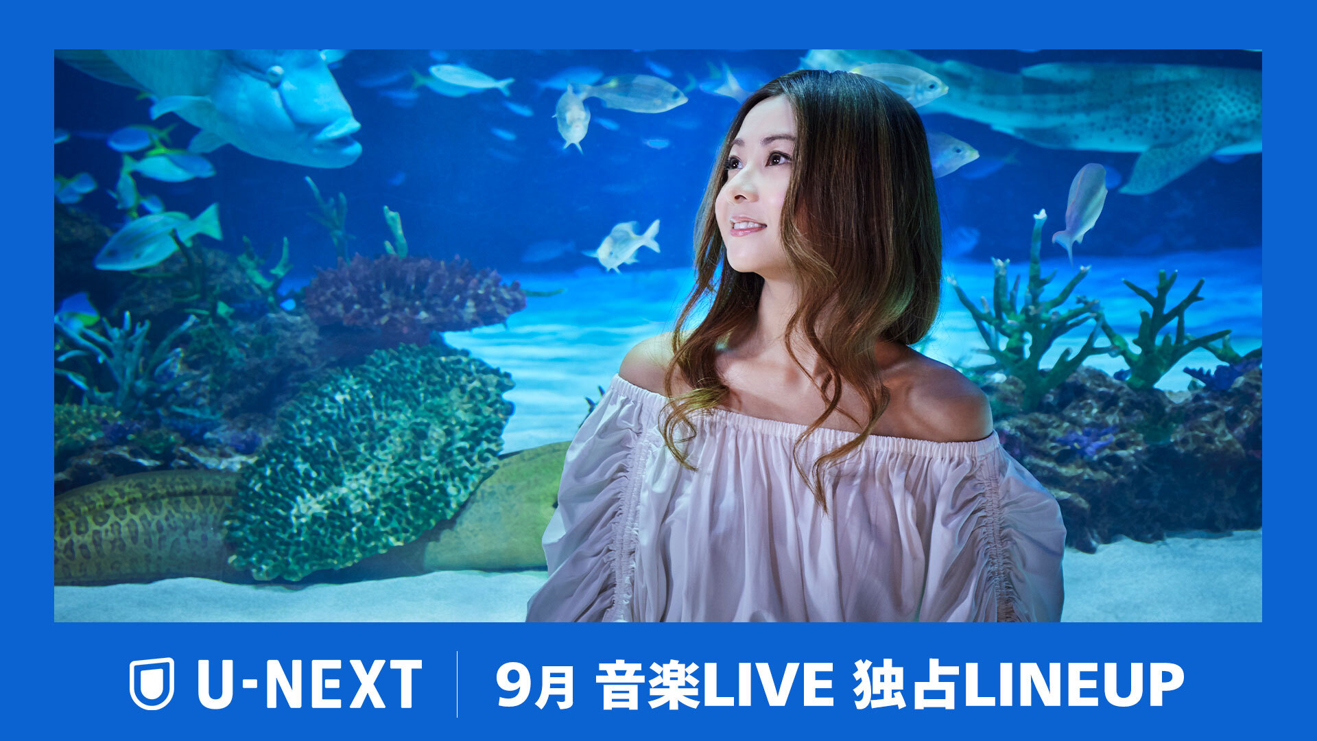 【2024年9月】U-NEXT独占の音楽ライブ配信ラインナップを公開！倉木麻衣のプレミアムライブや湘南乃風 関西最大級の野外ワンマンなど、全9公演の独占配信が決定！