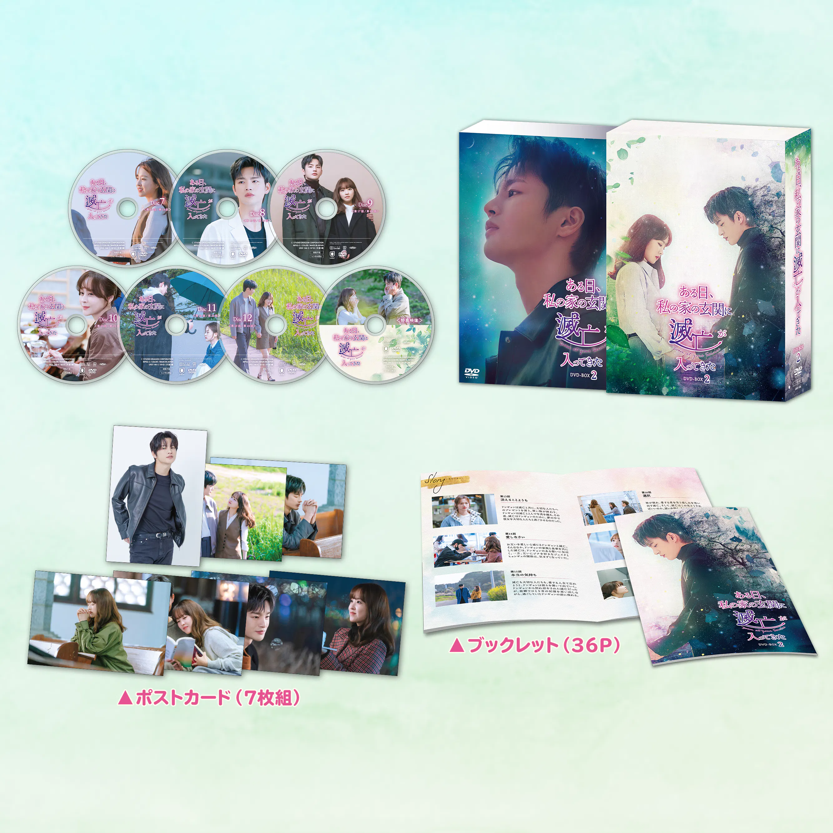 韓国ドラマ　ある日、私の家の玄関に滅亡が入ってきた　dvd 全巻 人気俳優の豪華共演！パク・ボヨン×ソ・イングク主演の甘く切ない