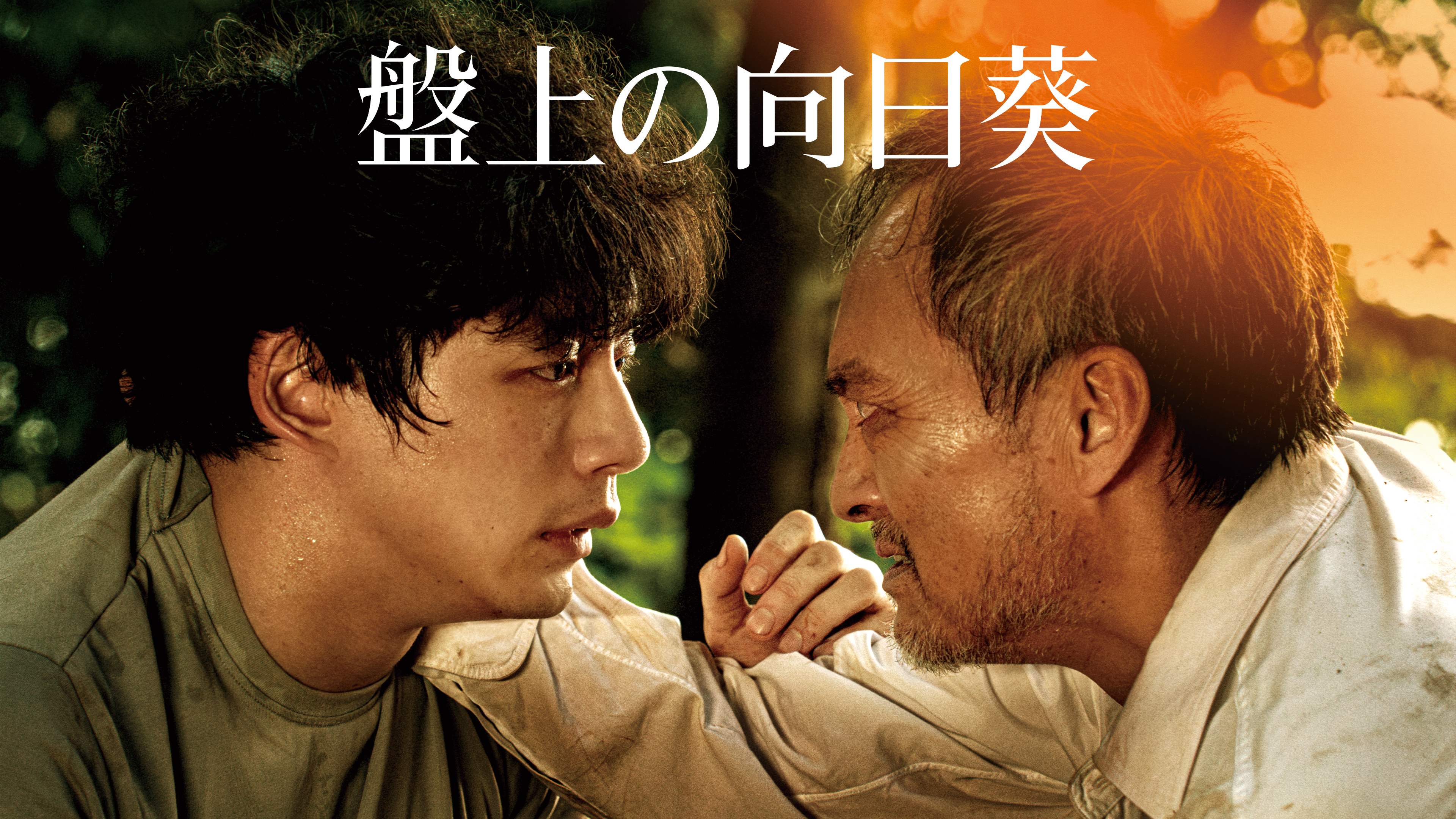坂口健太郎×渡辺謙の心震える慟哭のヒューマンミステリー『盤上の向日葵』3月15日（日）よりU-NEXT独占で先行配信開始！