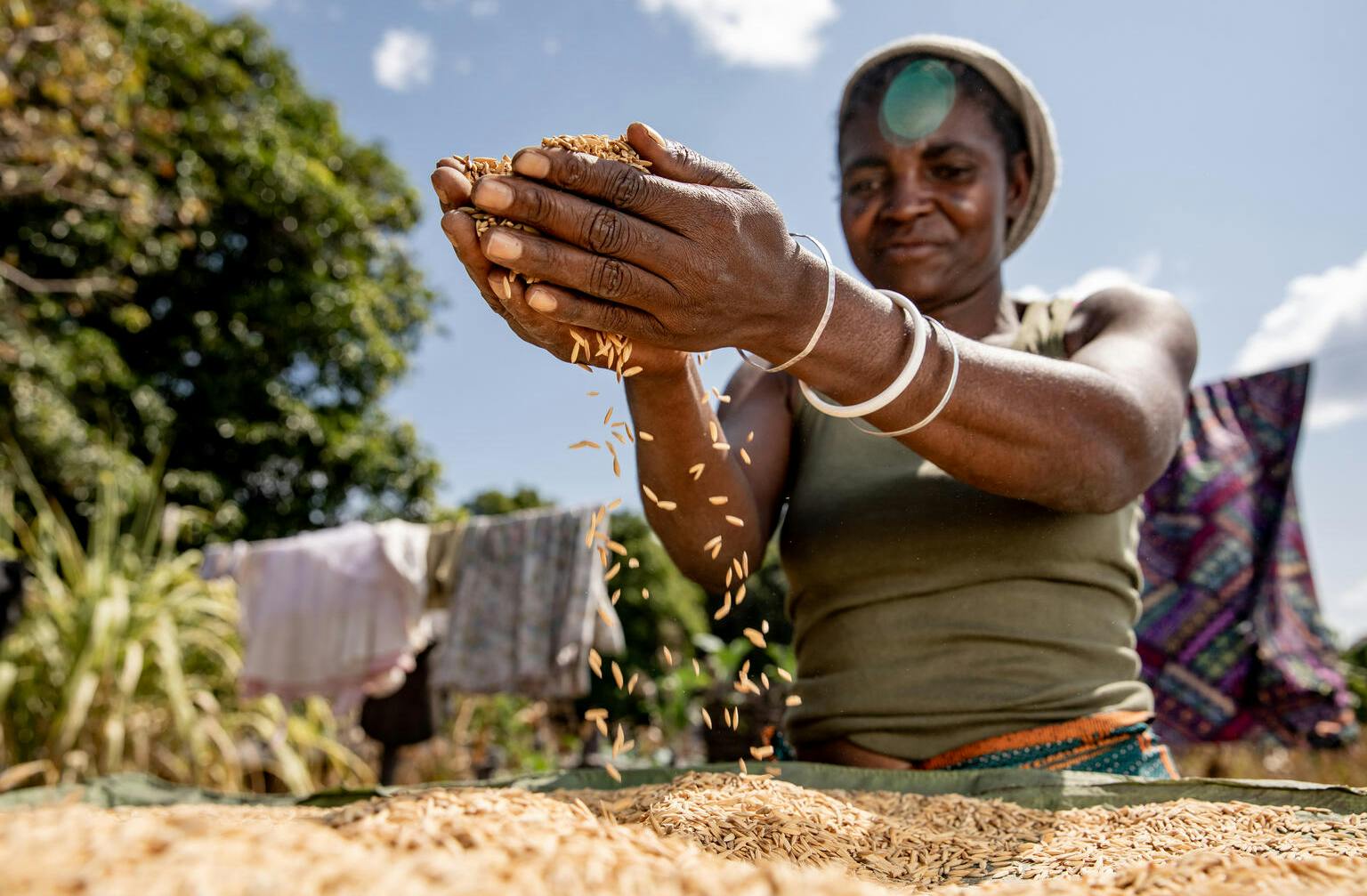 UNICEF nutrition programme - Woman in Zambia running fingers through grains