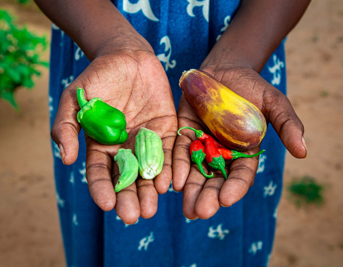 Global Parent- Hands holding vegetables. 