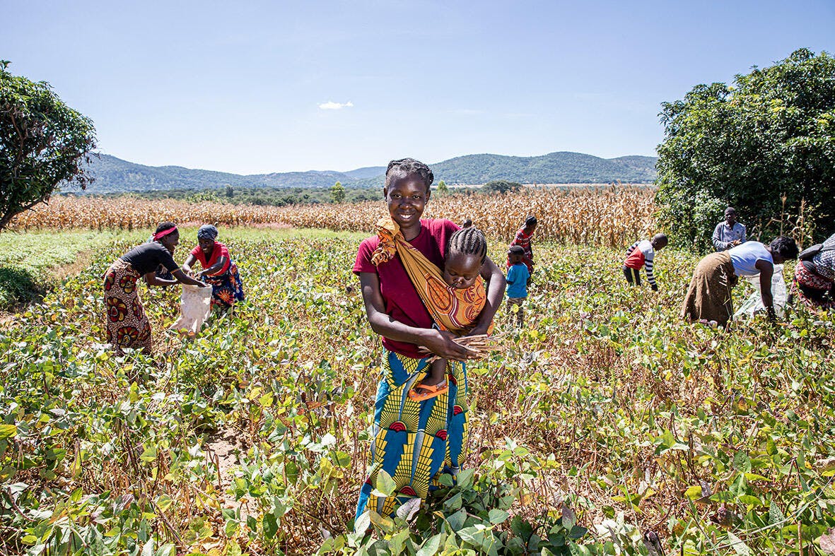 Evelyn is part of the "ladies farming co op" at the centre of excellence at the Nsanjika Agricultural Camp, Chipata, Zambia.