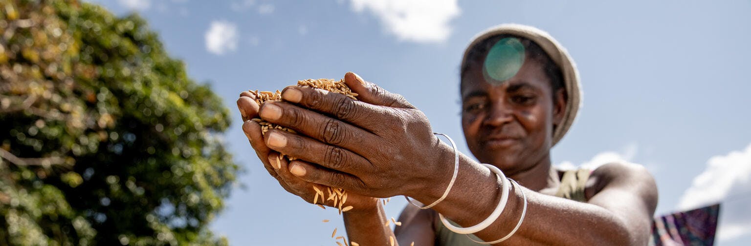 Kamana Mundia (43 yrs) is part of the farming cooperation which is part of the SUN PHASE II project in Zambia, a four year program supported by UNICEF and other UN and government agencies. 