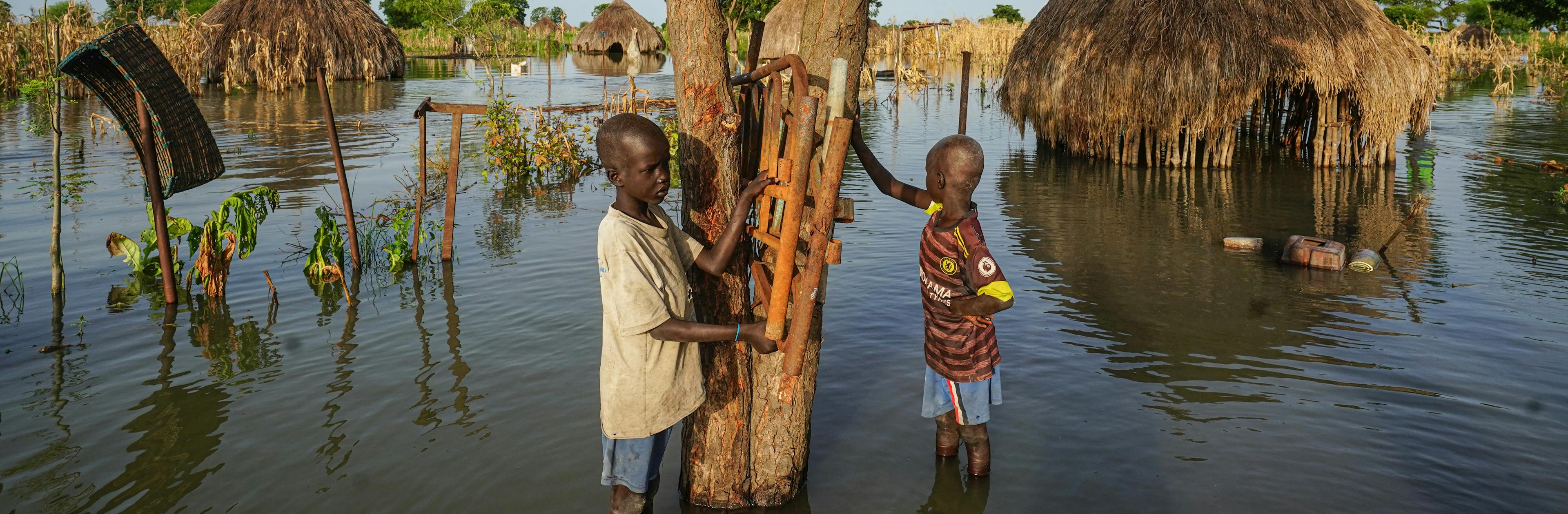 Tow boys hold onto a tree, surrounded by floodwaters from a recent weather emergency.