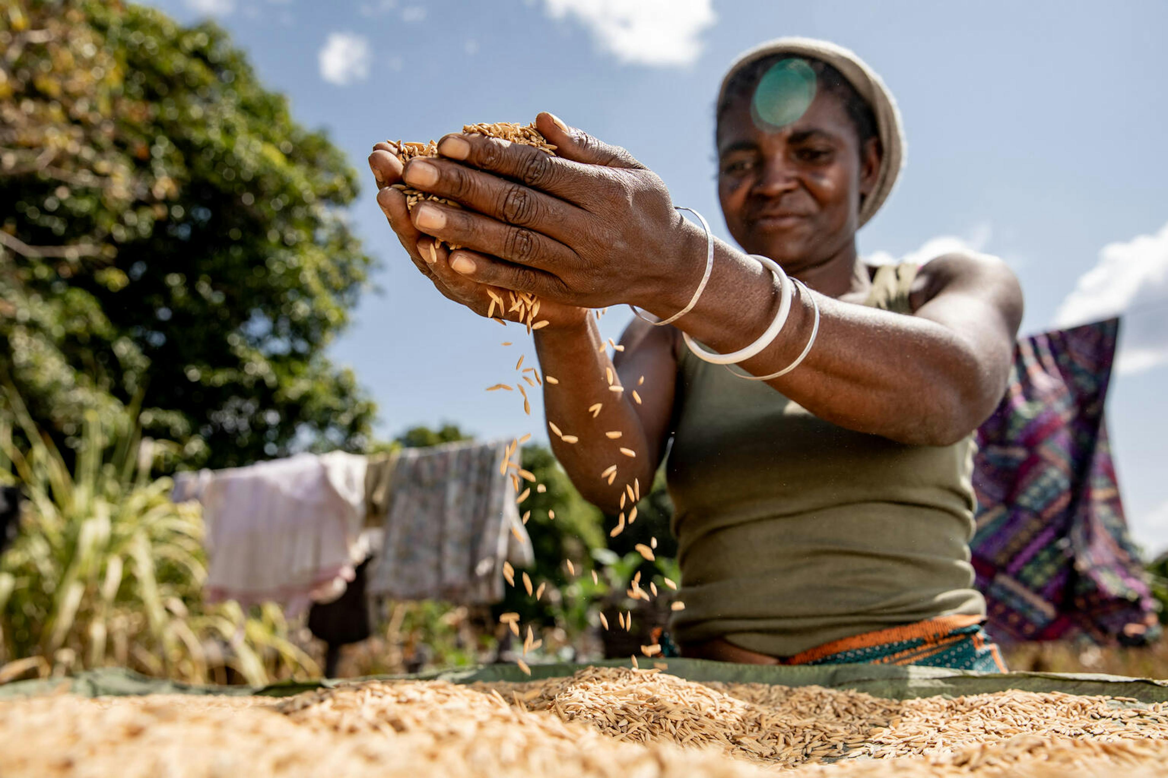 Kamana Mundia is part of the Scaling up Nutrition project which is teaching women how to farm their land using locally occurring crops.“ I really appreciate the knowledge I have been taught in both growing and preparing meals for the family.” says Kamana. 