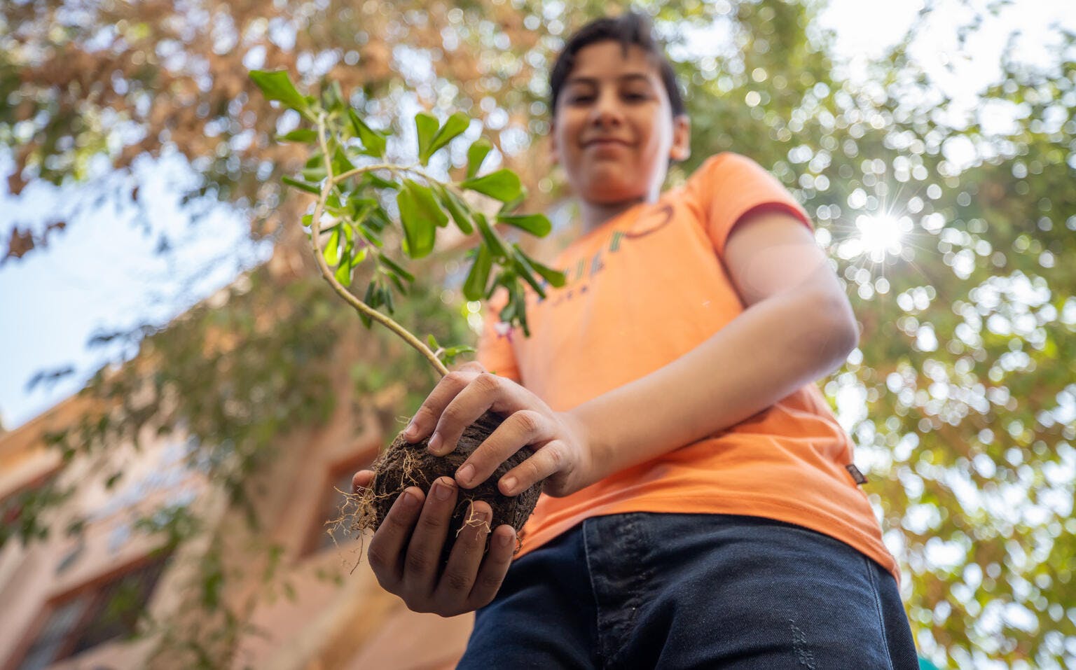 Young boy holding a seedling in his hands