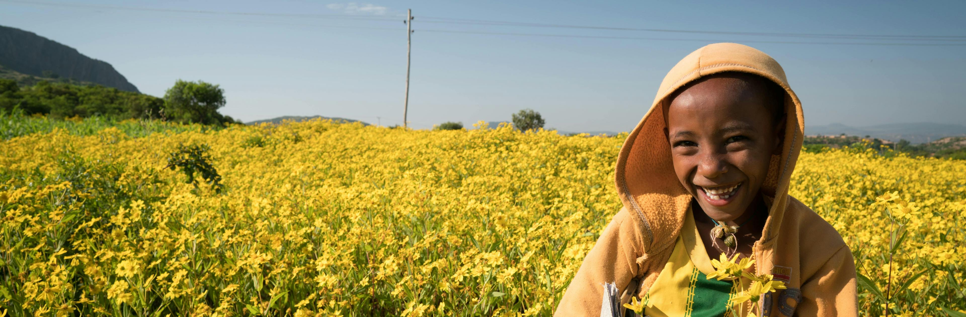 Biniyam Tesfaye carries his school books (protected by a newspaper jacket cover) as he walks through a yellow meskel flower field near Nibala School located in rural Wedi Keshi, in the region Adwa of Ethiopia.