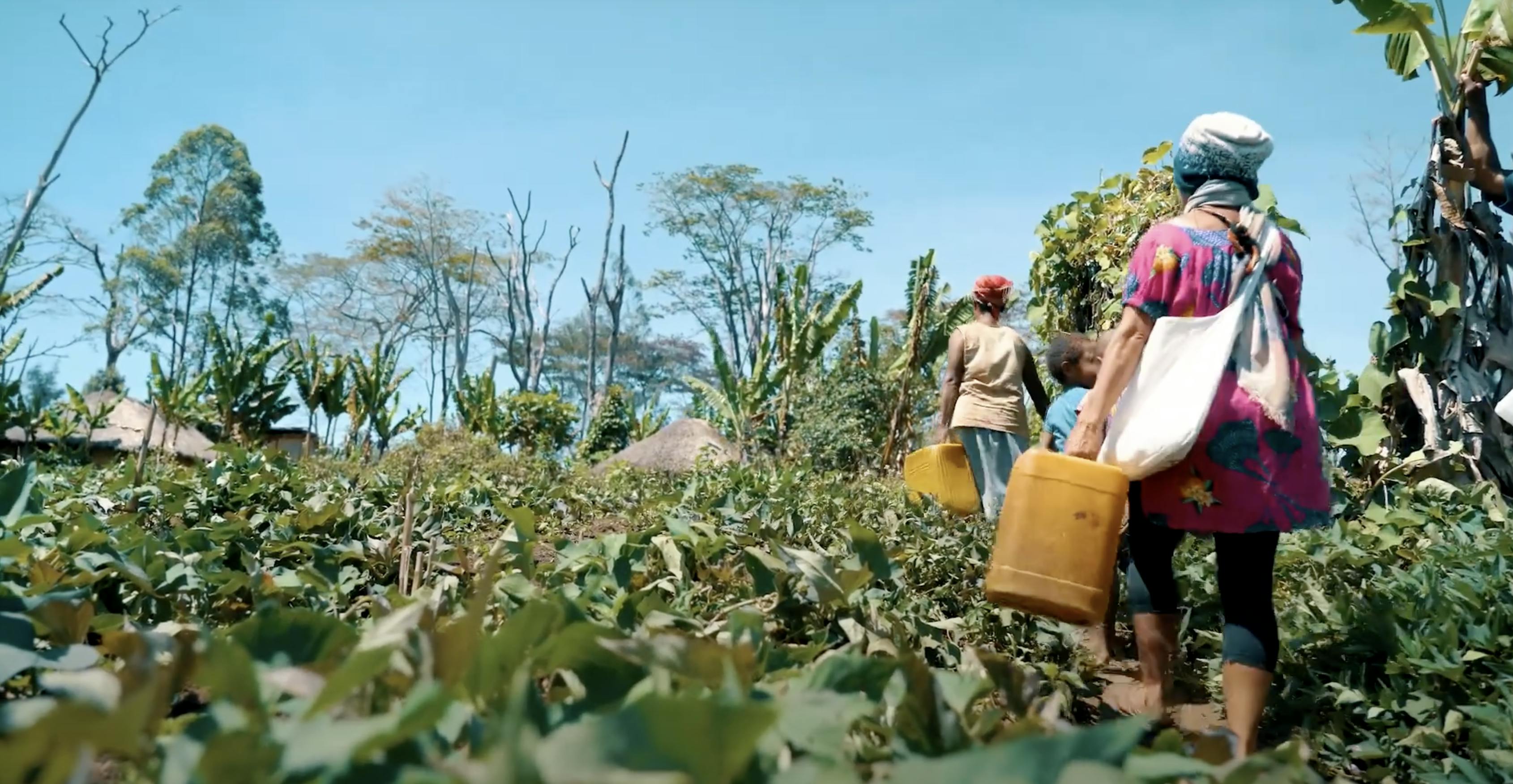 Accessing clean water causes remote PNG communities to embrace sanitation & hygiene interventions.