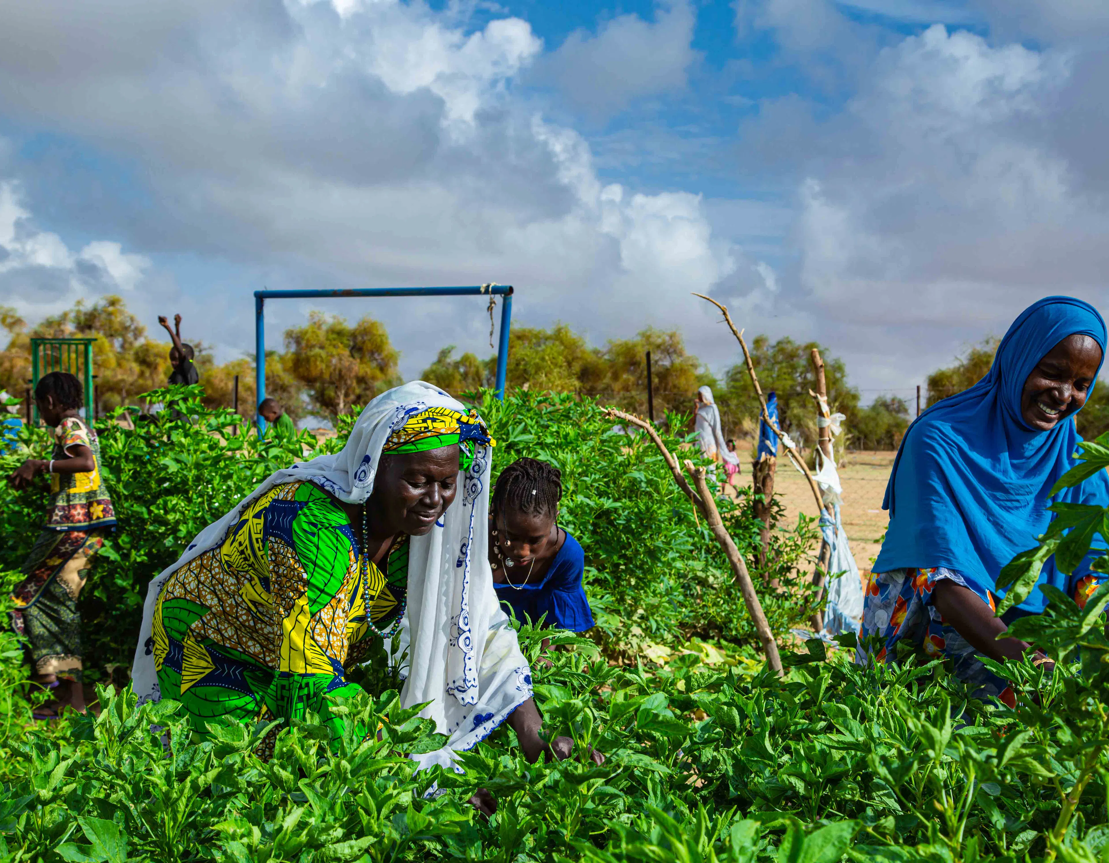 Global Parent- This women's co-op in southern Mauritania is harnessing the power of the sun to pump water from the boreholes and irrigate their crops.