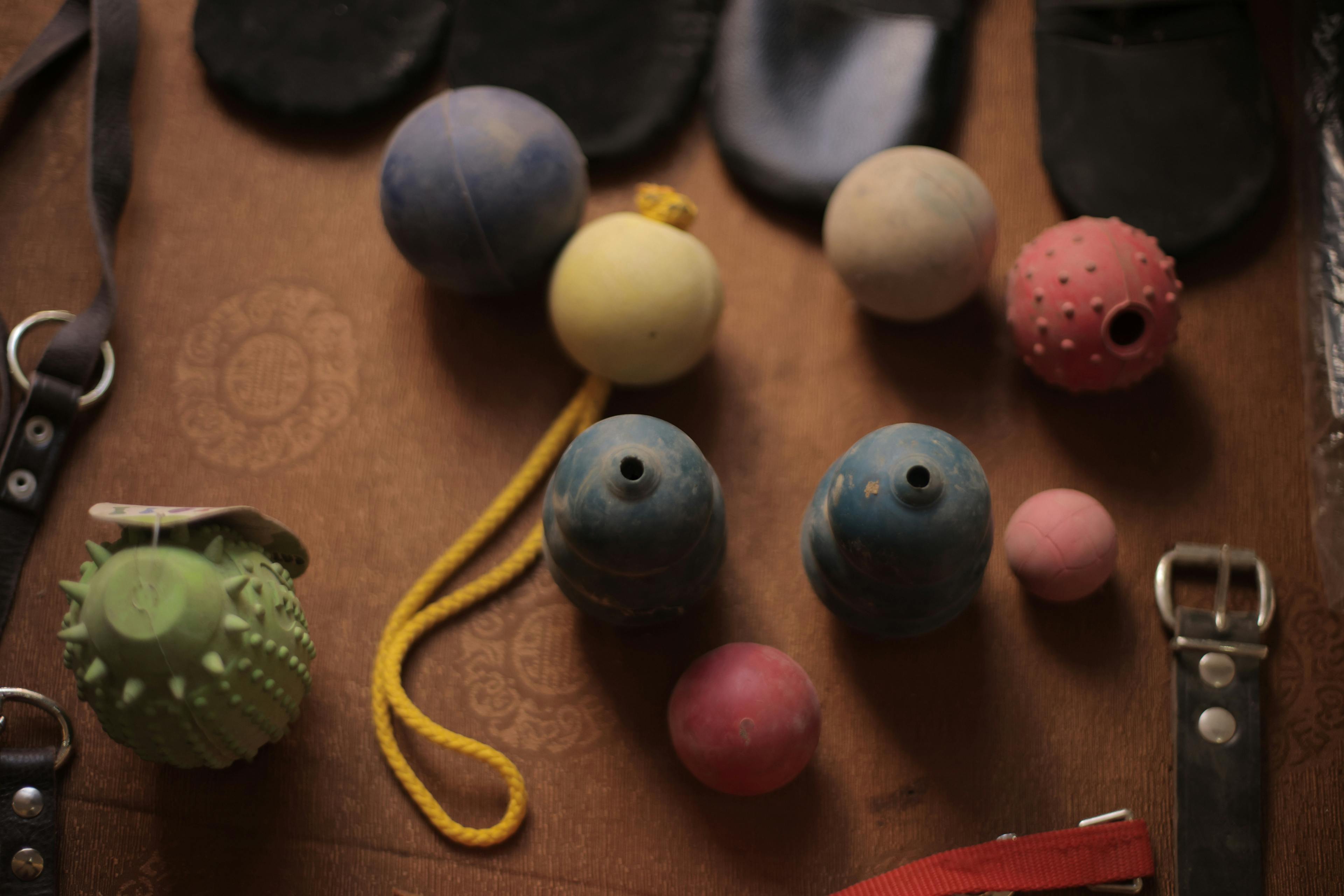 Samples of mines and cluster munitions presented during the World Mine and Cluster Munitions Awareness Day. 