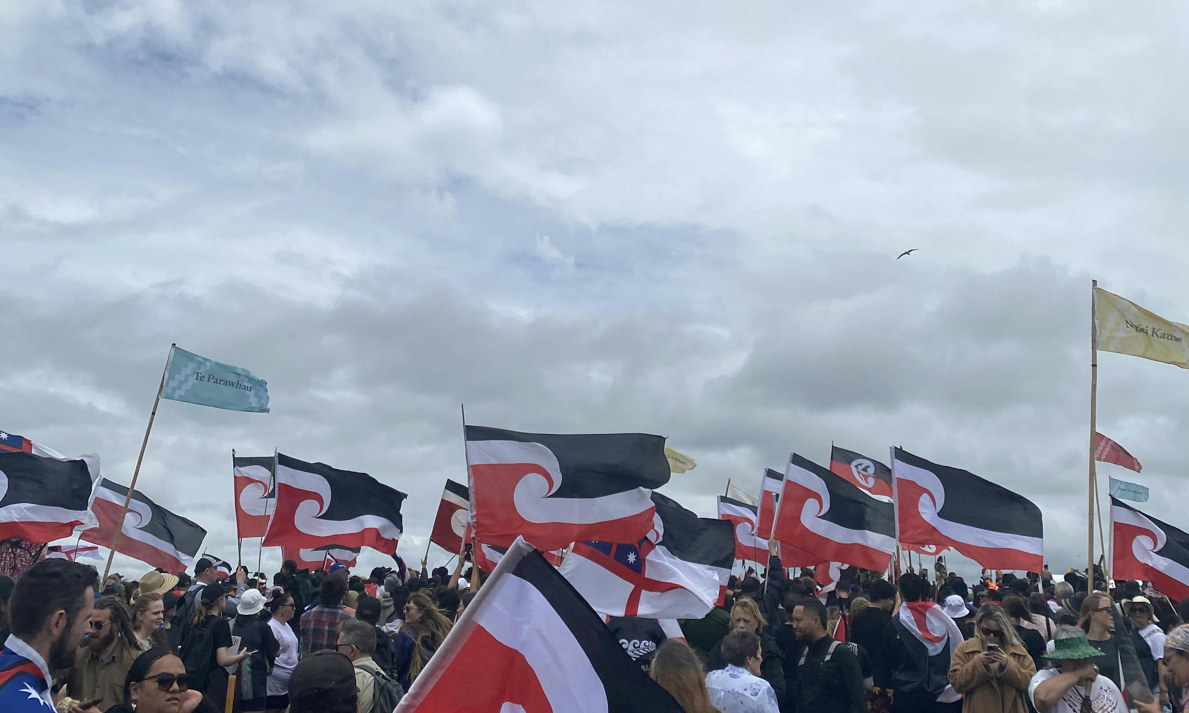 The hīkoi in Tāmaki Makaurau, opposing the Treaty Principles Bill, November 2024