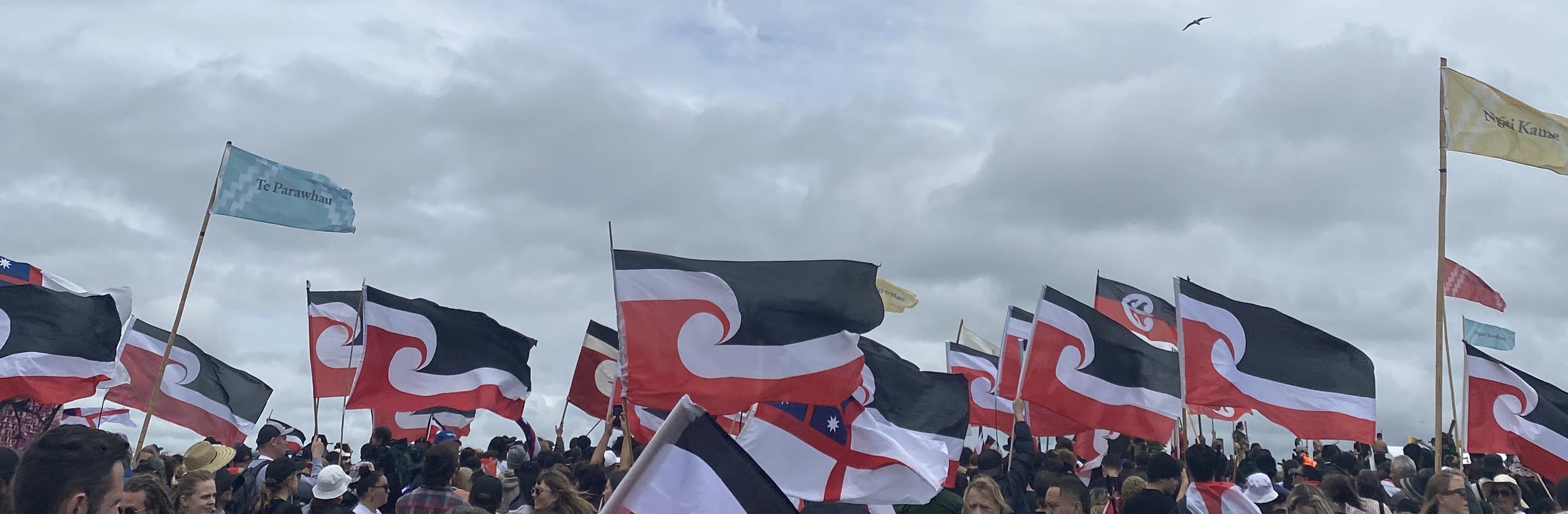 The hīkoi in Tāmaki Makaurau, opposing the Treaty Principles Bill, November 2024