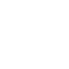 health icon