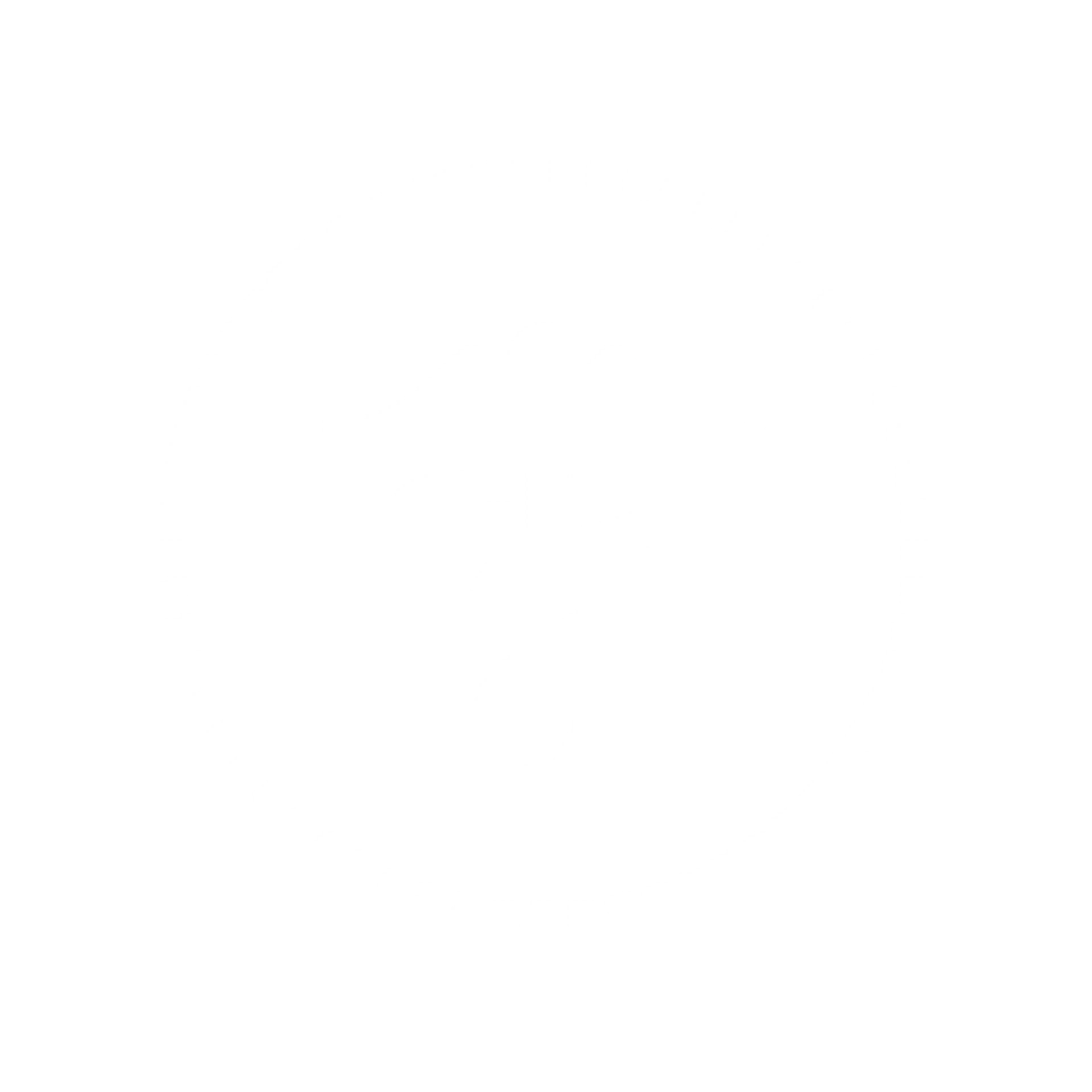 health icon