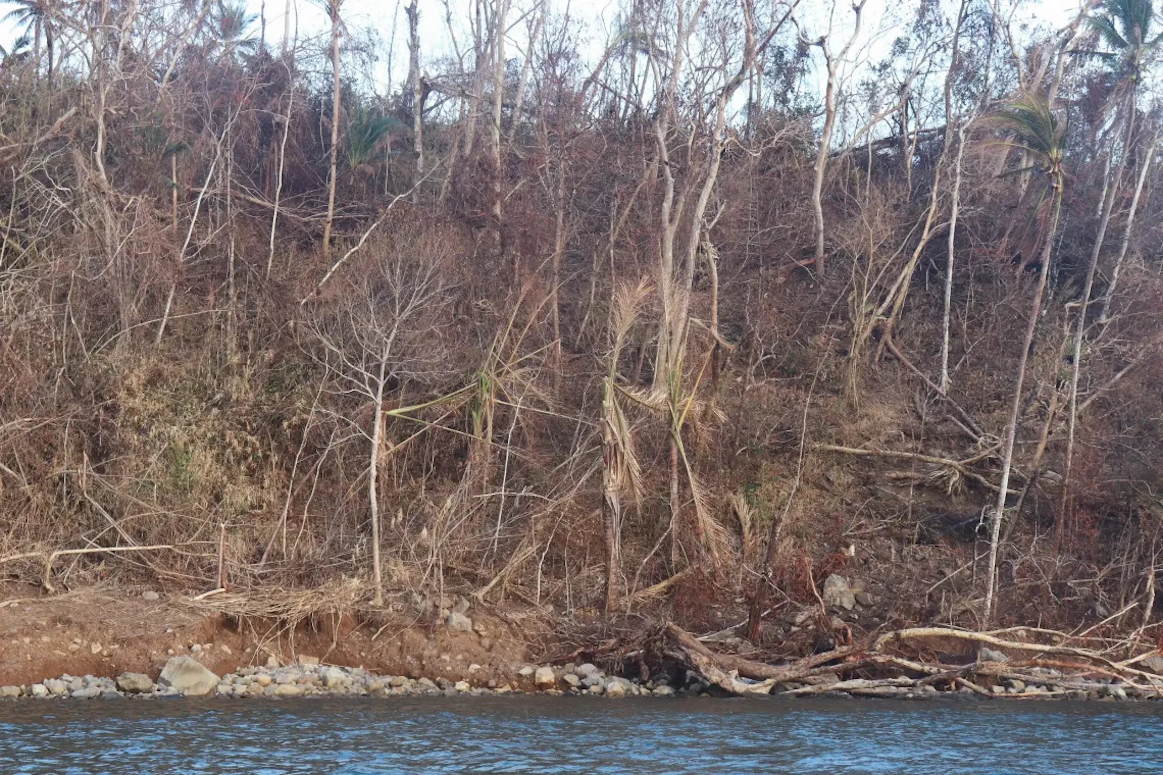 Tropical Cyclone Maila tore through Simbo Island, leaving hillsides dry and exposed after vegetation and trees were destroyed. 