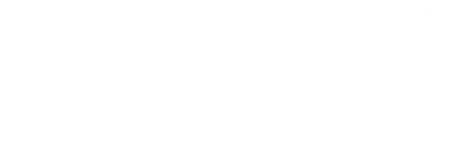 Logo Zurich