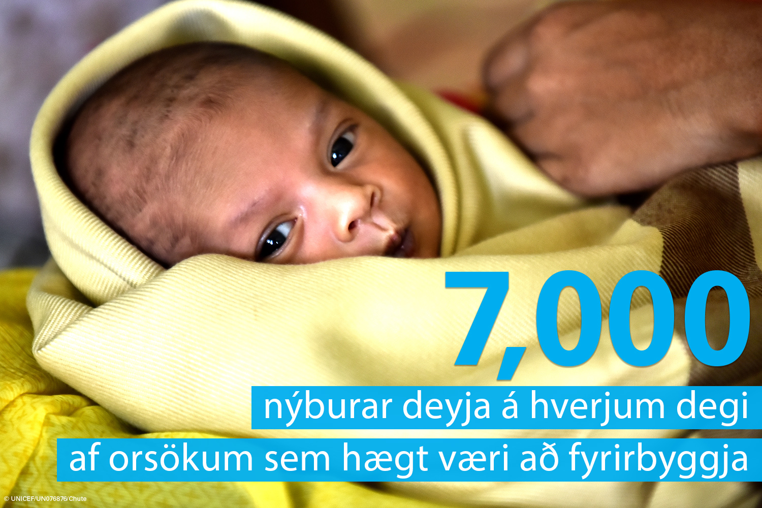 Porno uchun aktyor kerak