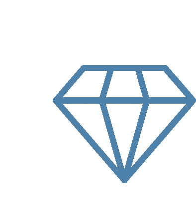 Feature Icon