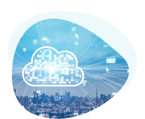intro-italy-buyer-uni-api