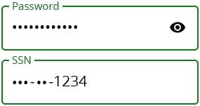 Password input masking example