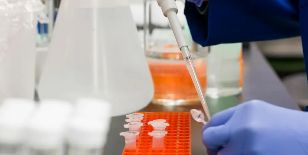 Display of a lab bench covered in lab equipment, where a scientist is applying a solution to an experiment with a pipette