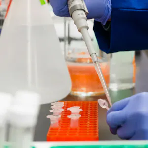 Display of a lab bench covered in lab equipment, where a scientist is applying a solution to an experiment with a pipette