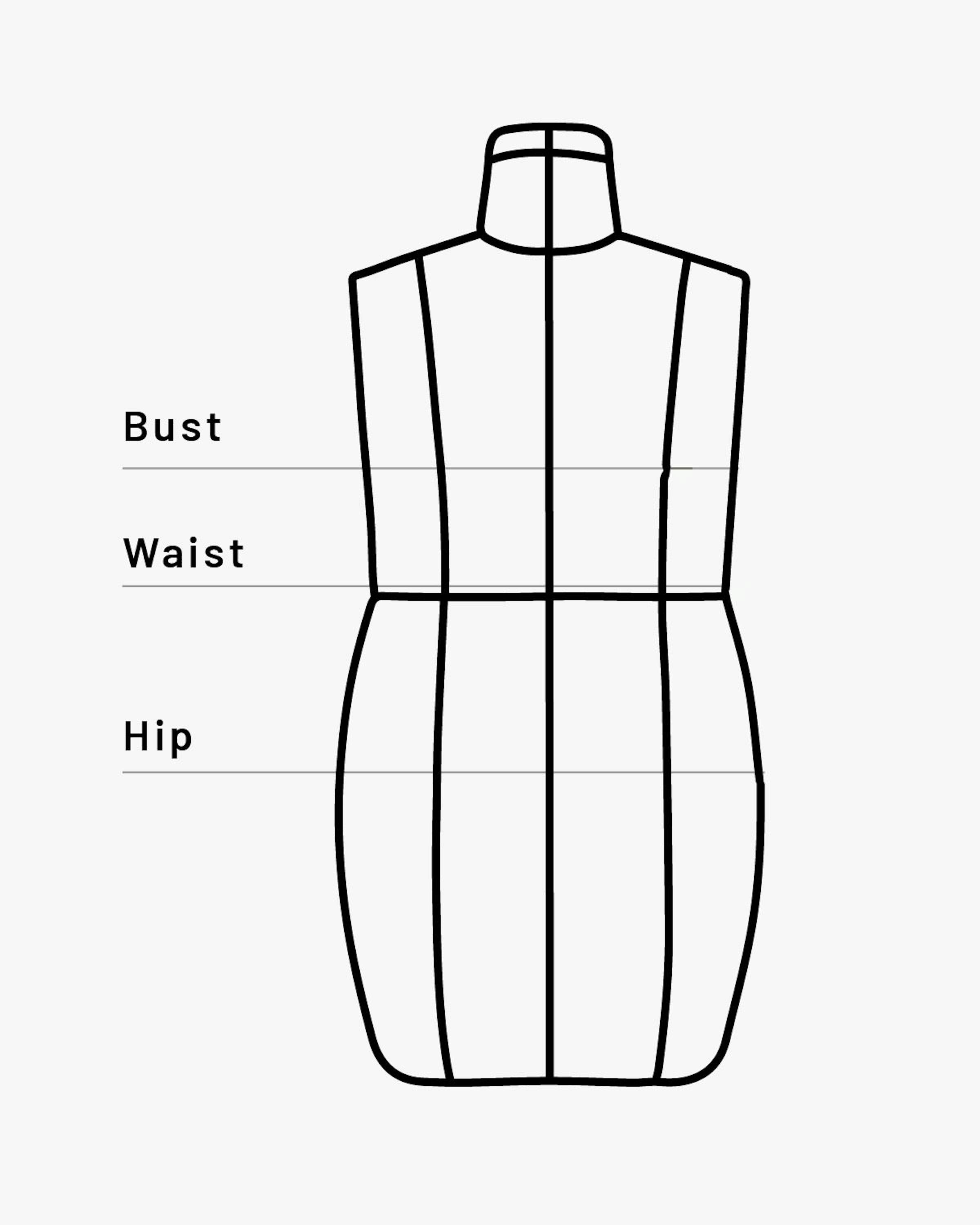 Illustration of a dress form with sizing areas highlighted