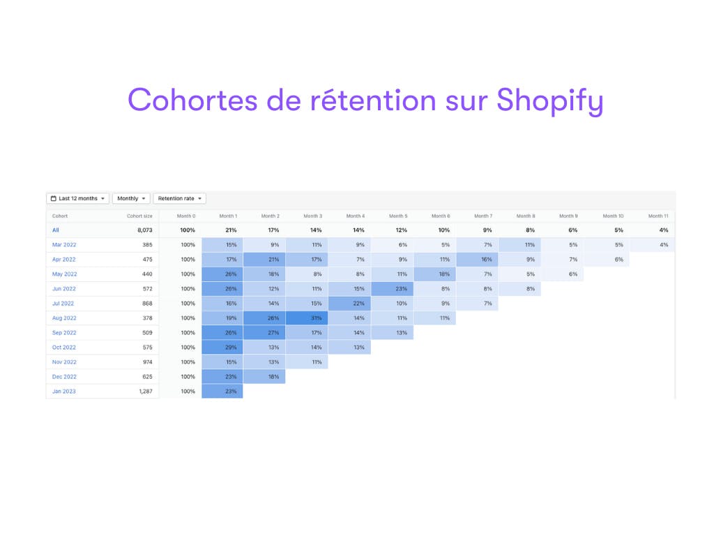 Cohortes de rétention